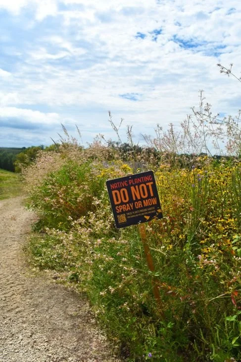 do-not-spray-or-mow-sign_3_487x730.jpg