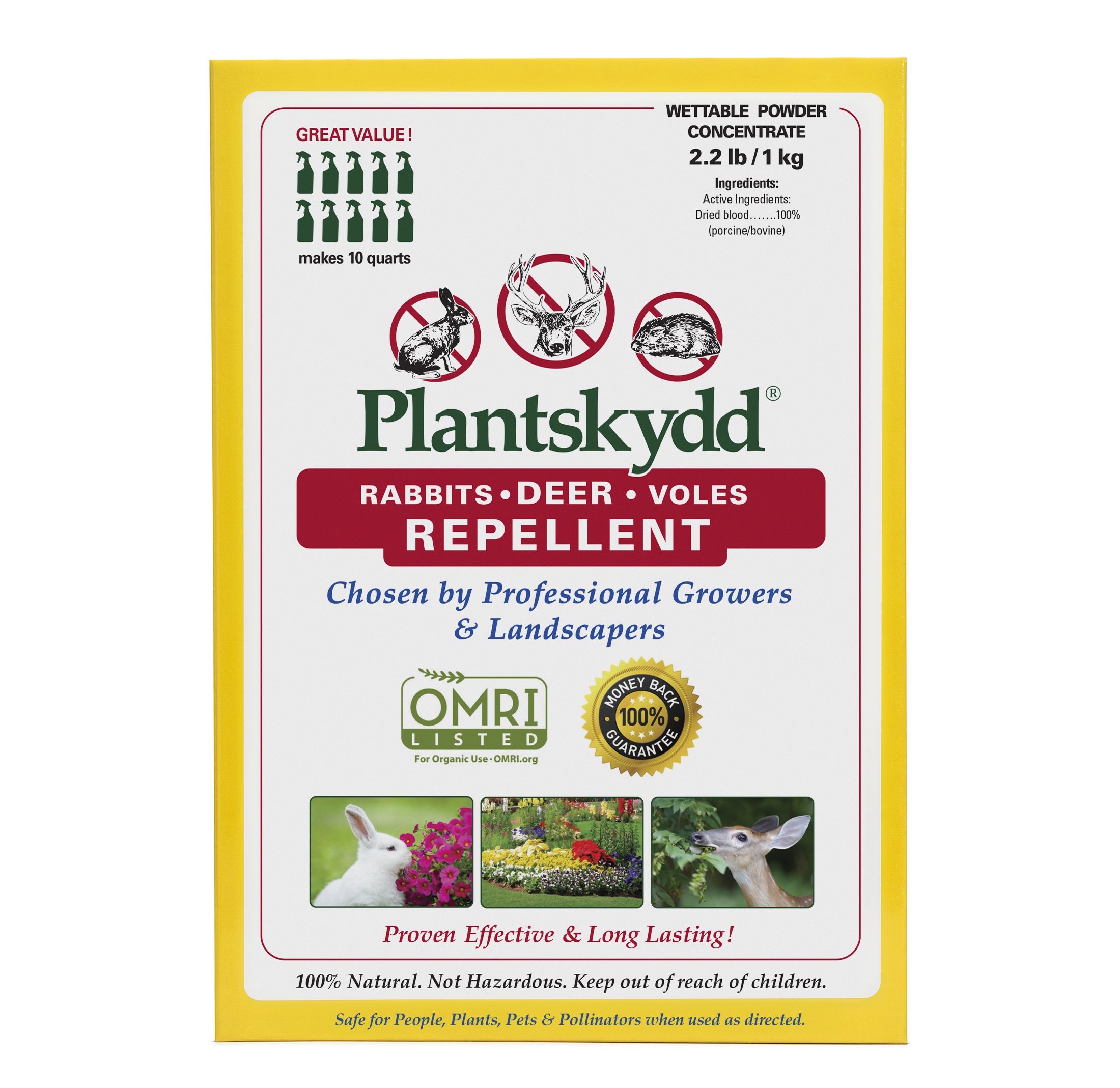 Plantskydd 2.2.jpg