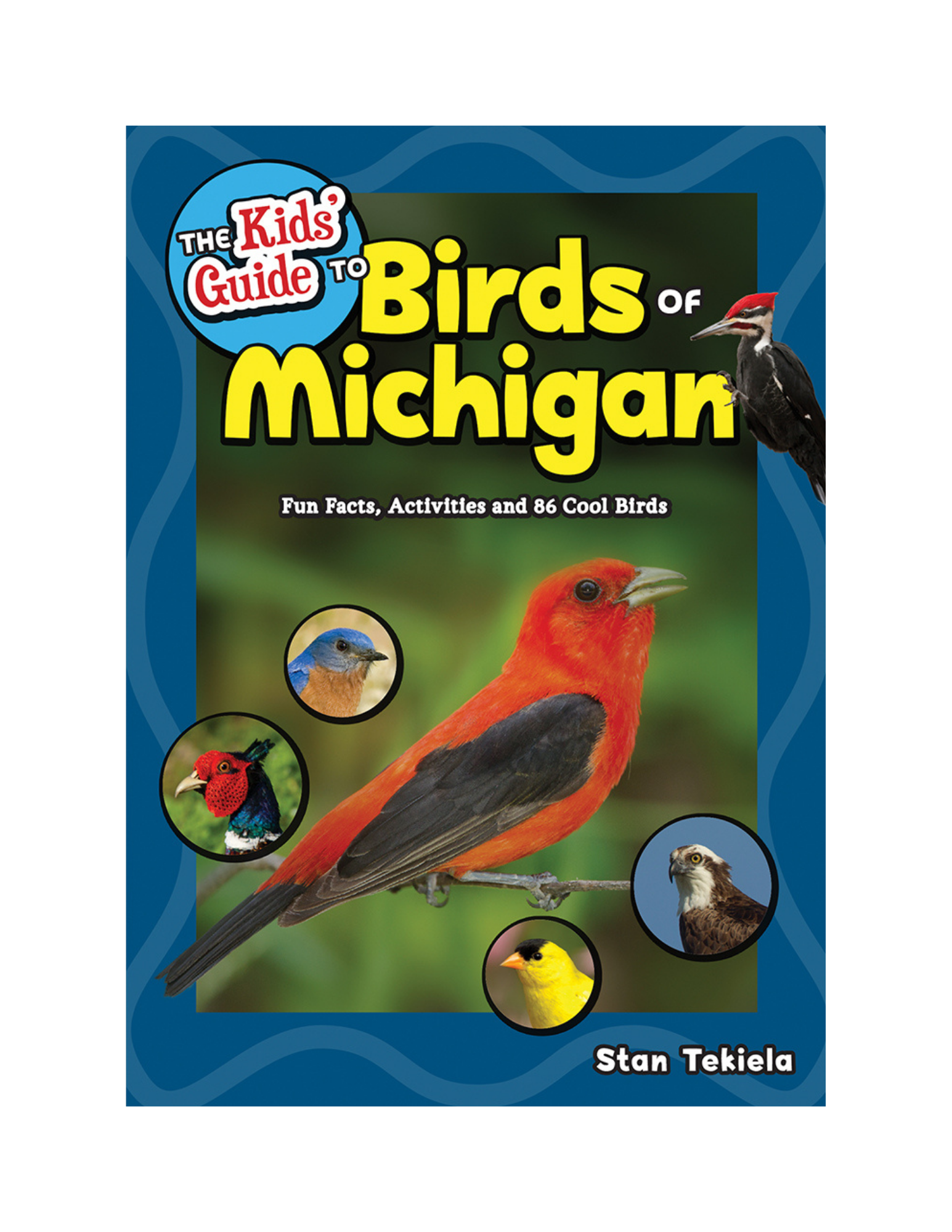Kids Guide Birds of Michigan.png