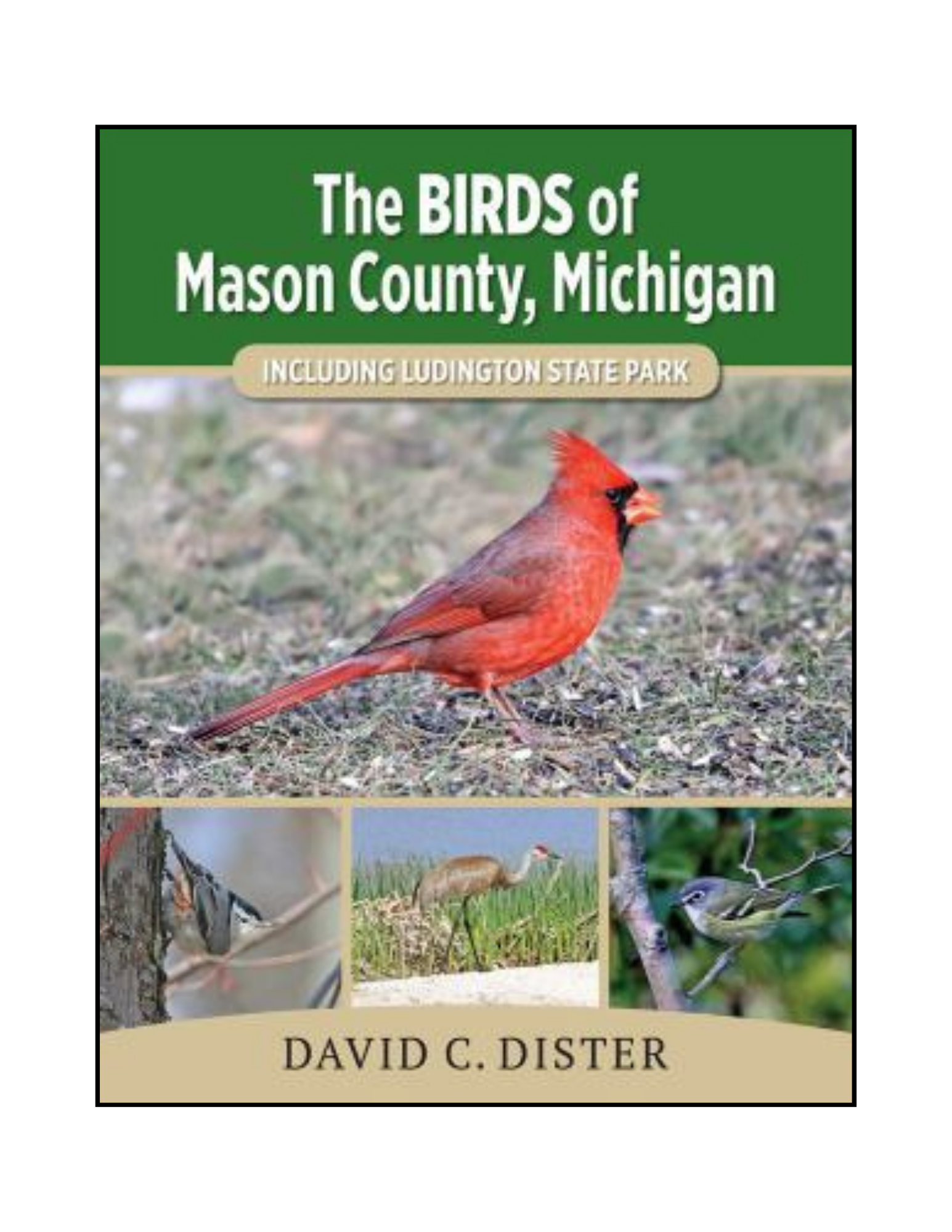 Birds of Mason County.png