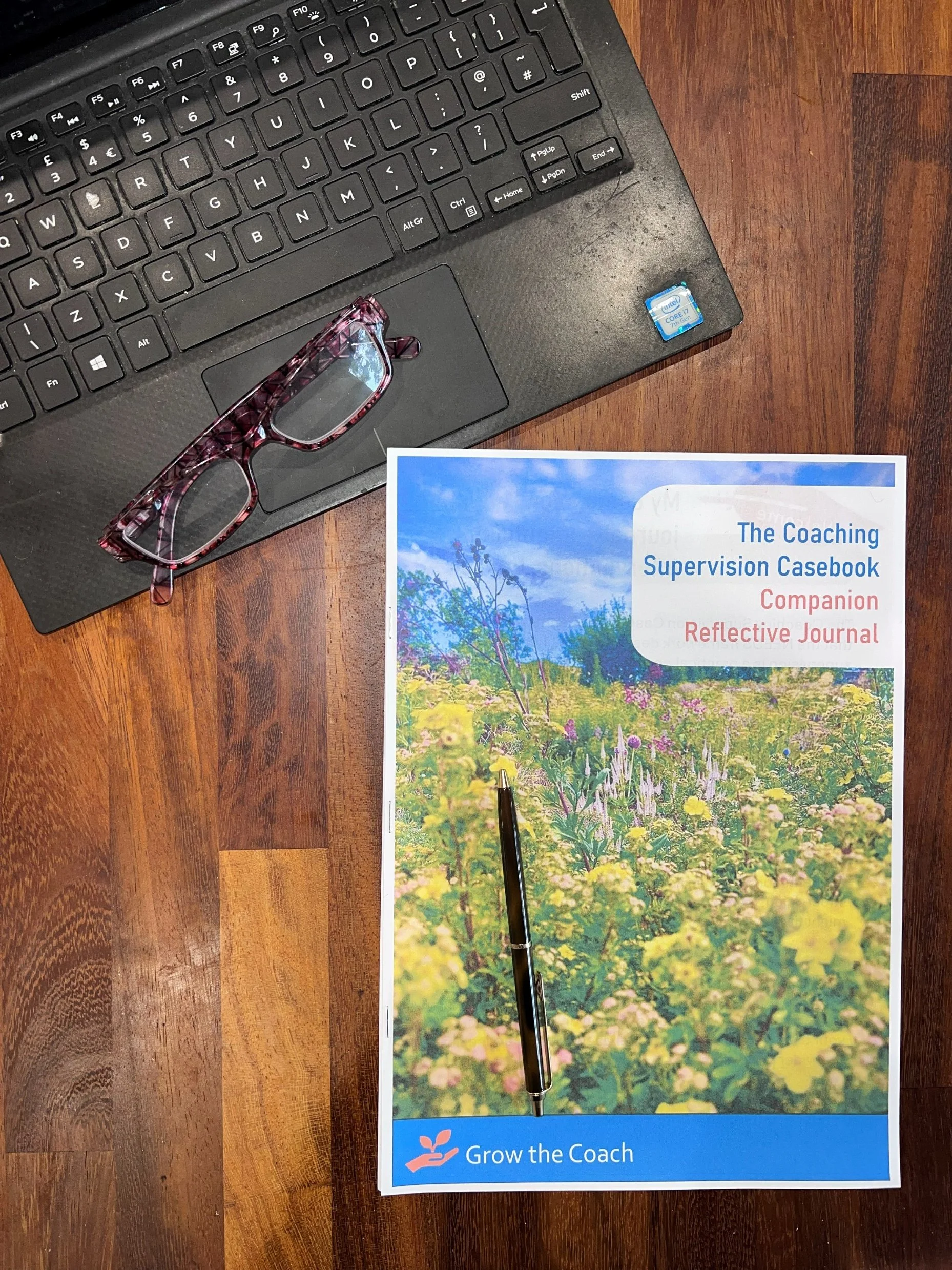 Companion Reflective Journal