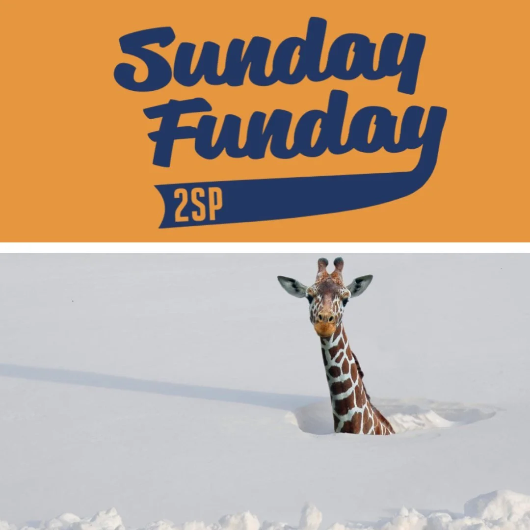 ❄ This is your official sign to get here for #SundayFunday tomorrow before you're snowed in for the rest of 2026. 🍾