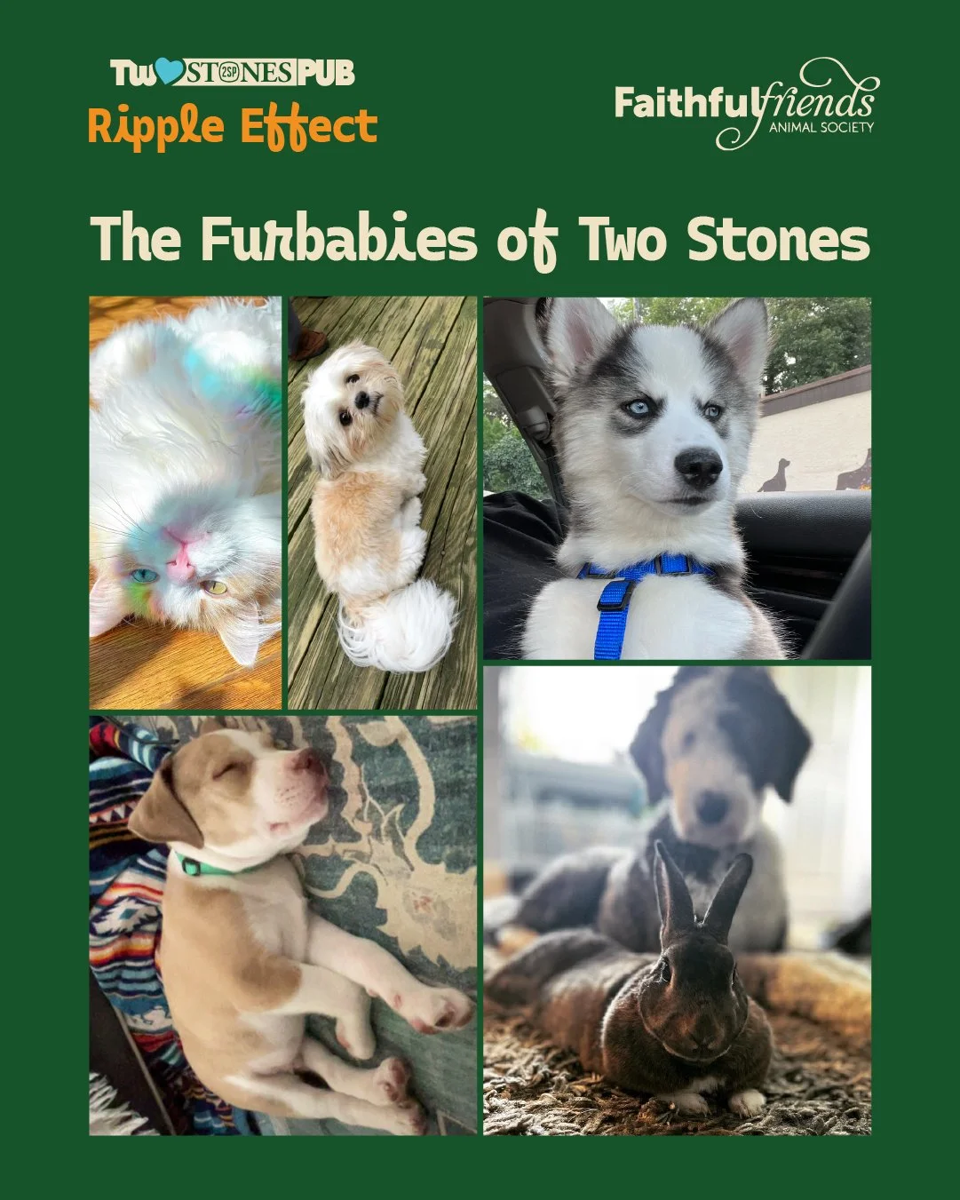 We're ending February with a...BARK! As part of our Ripple Effect campaign, we're hosting a Give Back night for @ffas_delaware  this Fursday - sorry - Thursday, February 26. So please, come out &amp; help support our four-legged friends. Donations of