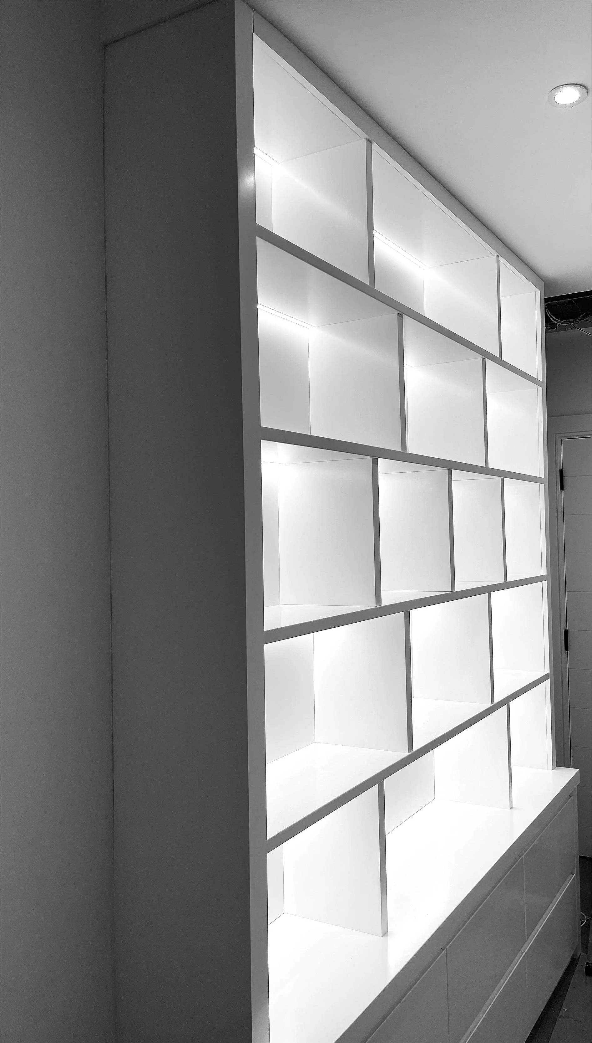 Living room project. Bespoke sheving unit.