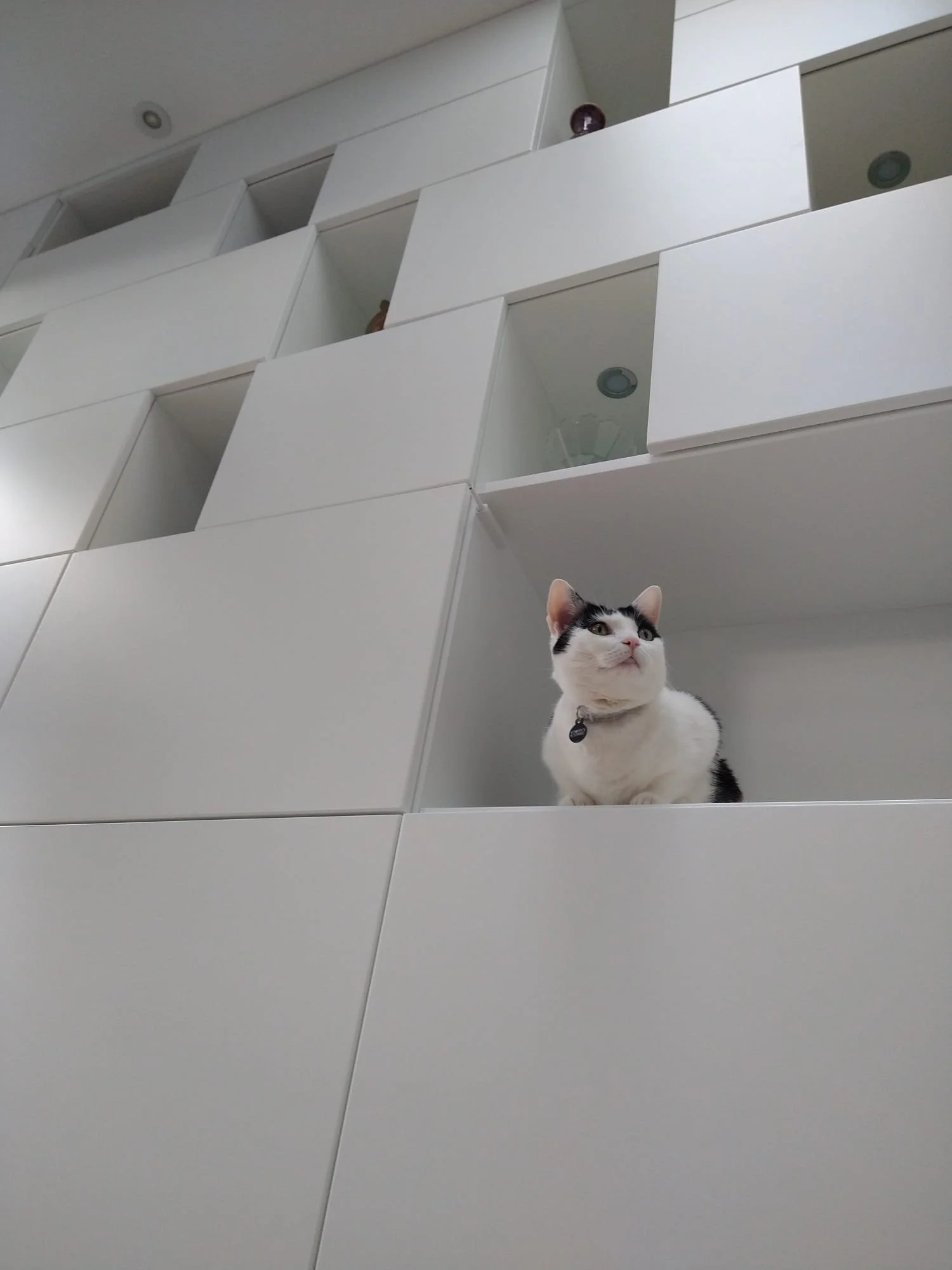 Living room project .Bespoke display unit.