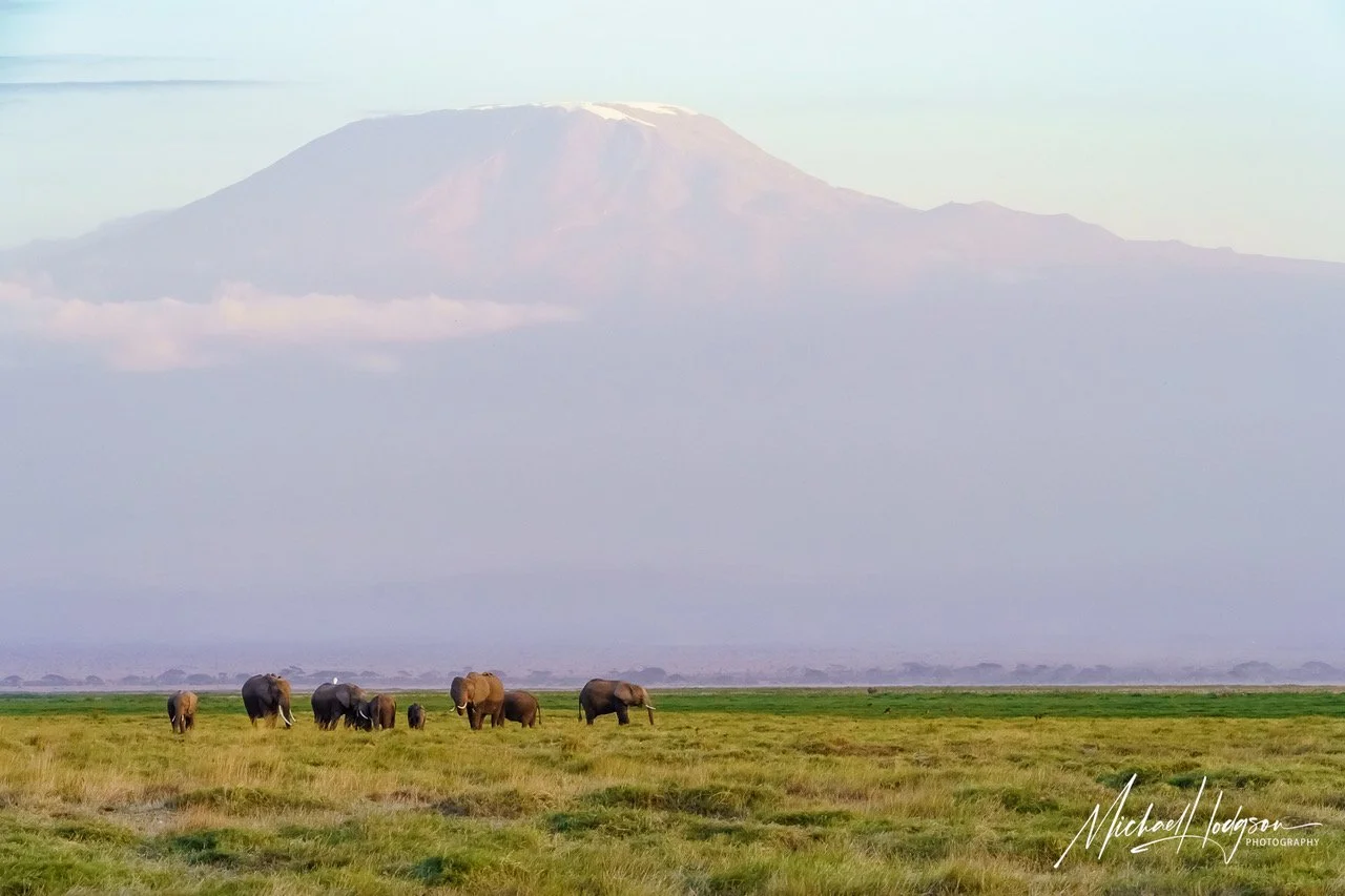 kilimanjaro-elephants-sunset-amboseli-73065157306515-IG.jpeg