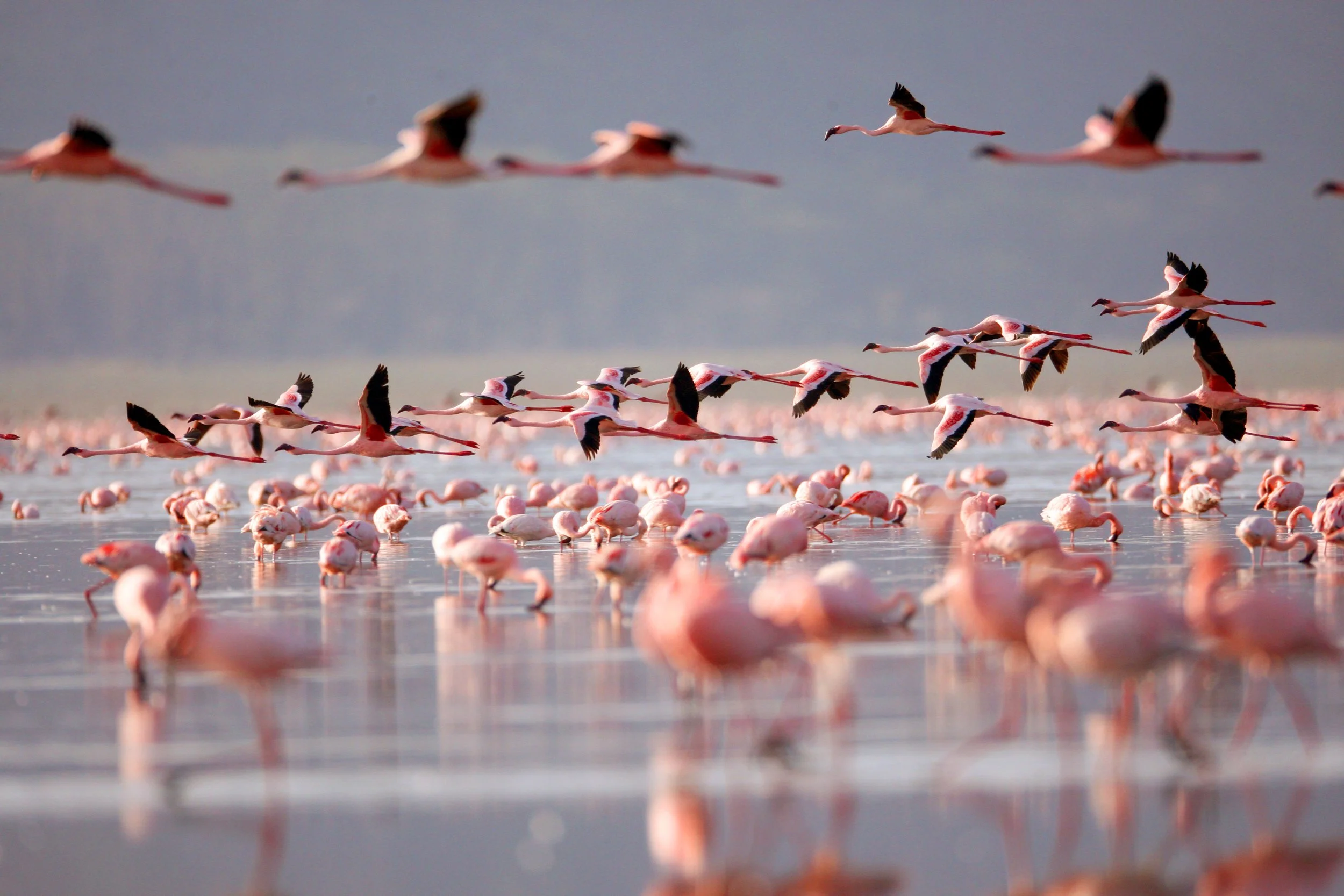 iStock-949093866.jpg
