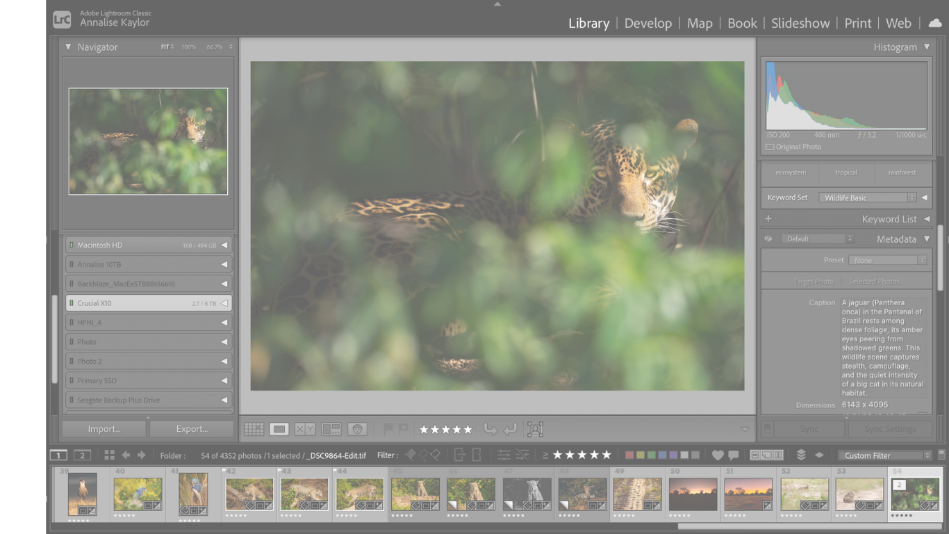 Workflow Like a Pro: Lightroom Organization for the Serious Photographer