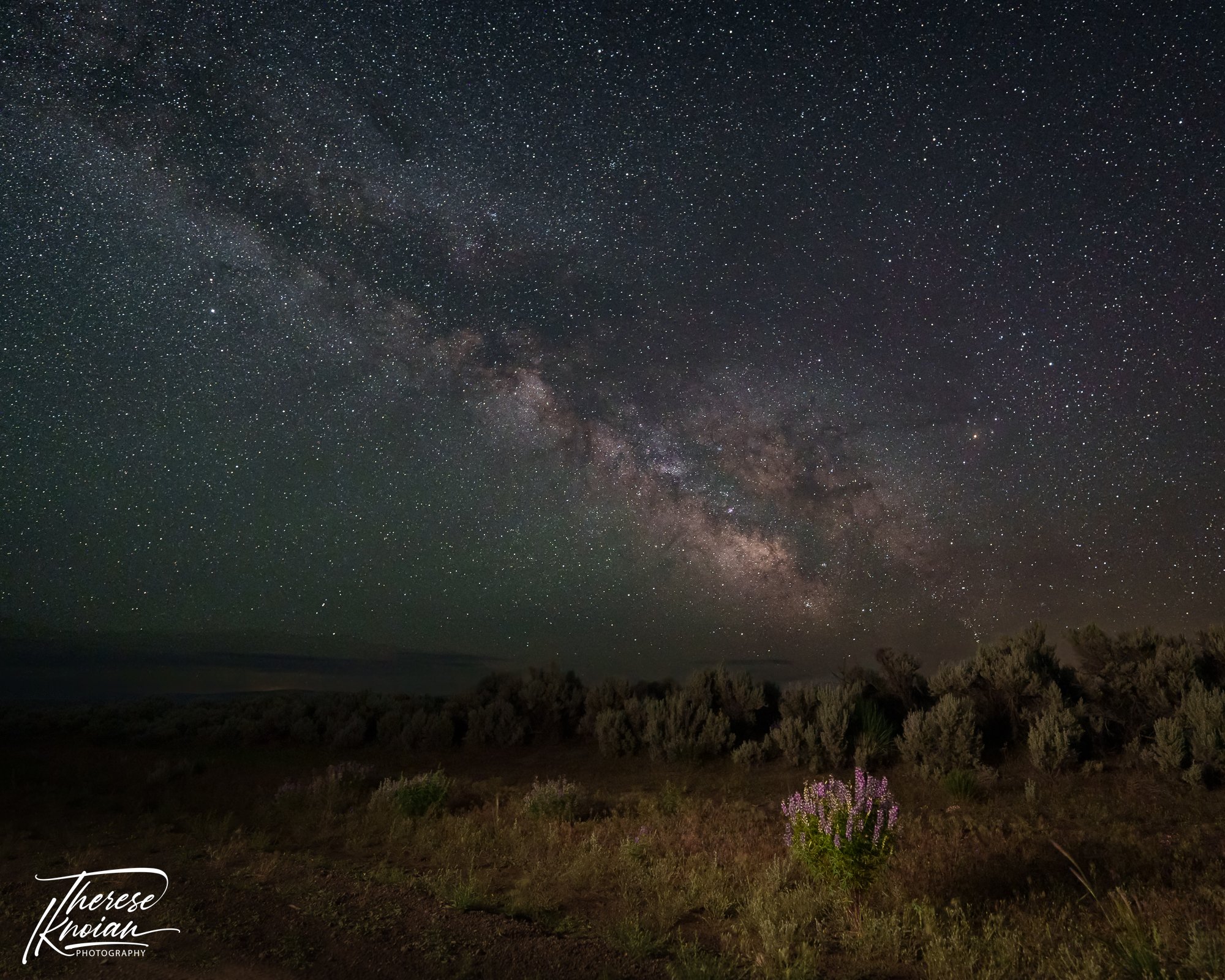Therese_Lupin Milky Way_Nevada.jpg