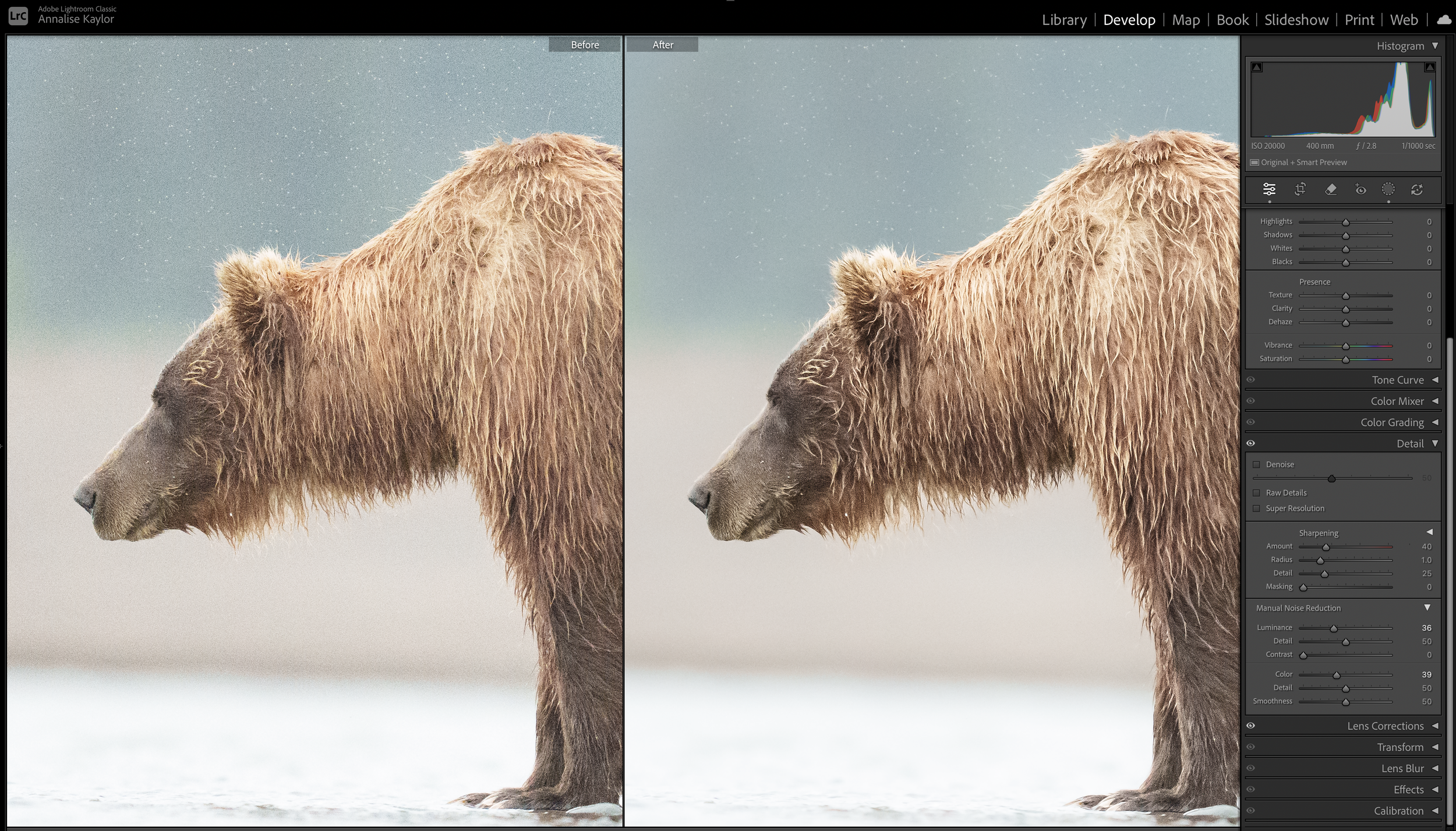 Side-by-side comparison of a bear before and after photo editing, showing enhanced detail, color, and clarity on the right without the use of AI noise reduction.