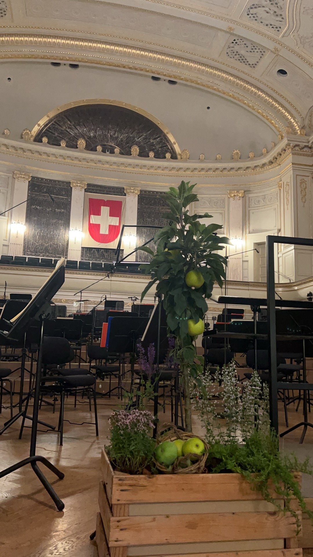 Swiss National Orchestra – L'équipe nationale de la musique suisse