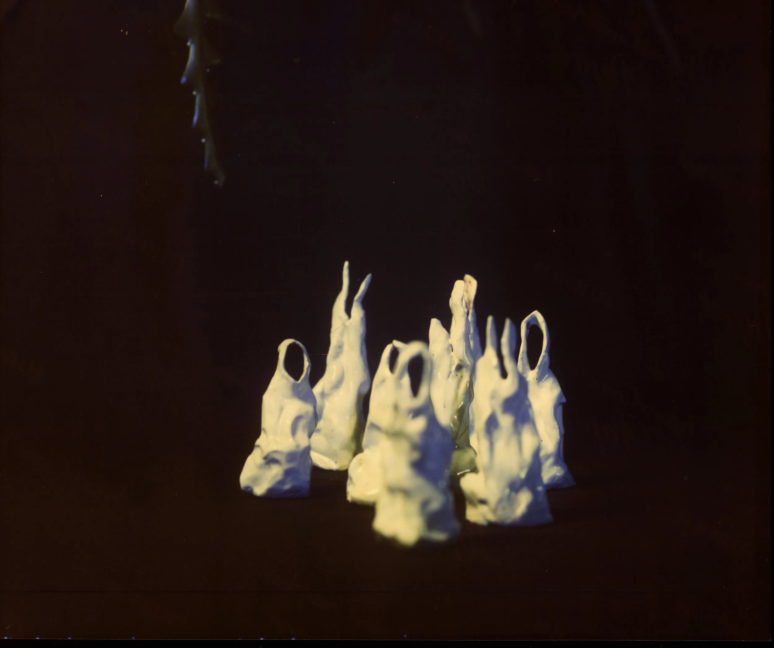 04_Crickets_March25_02 2_neg.jpg