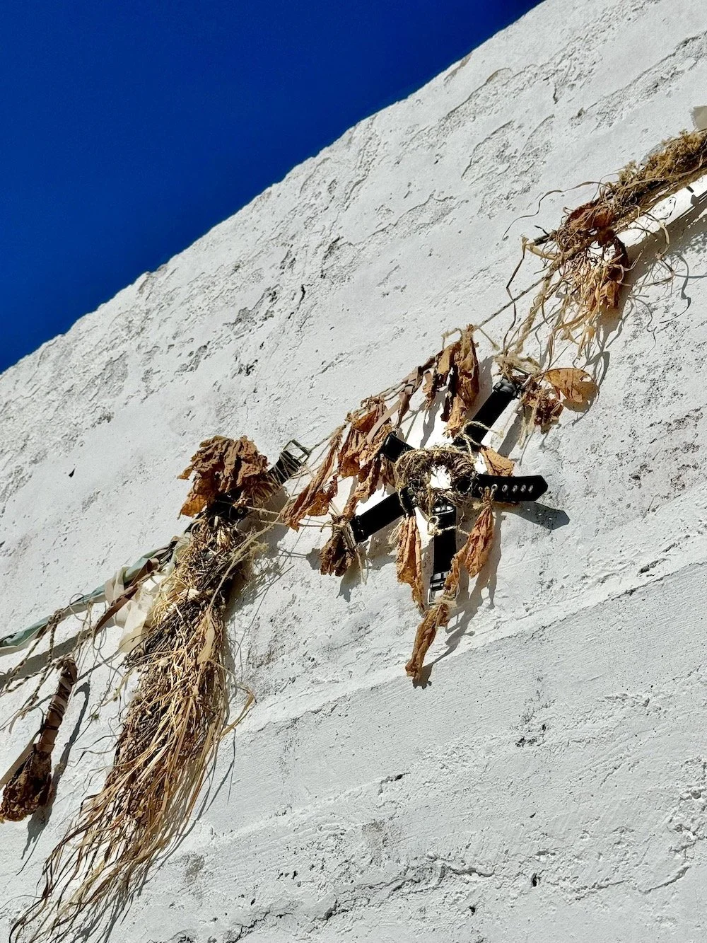 Opera n. 1 frontal detail.jpeg