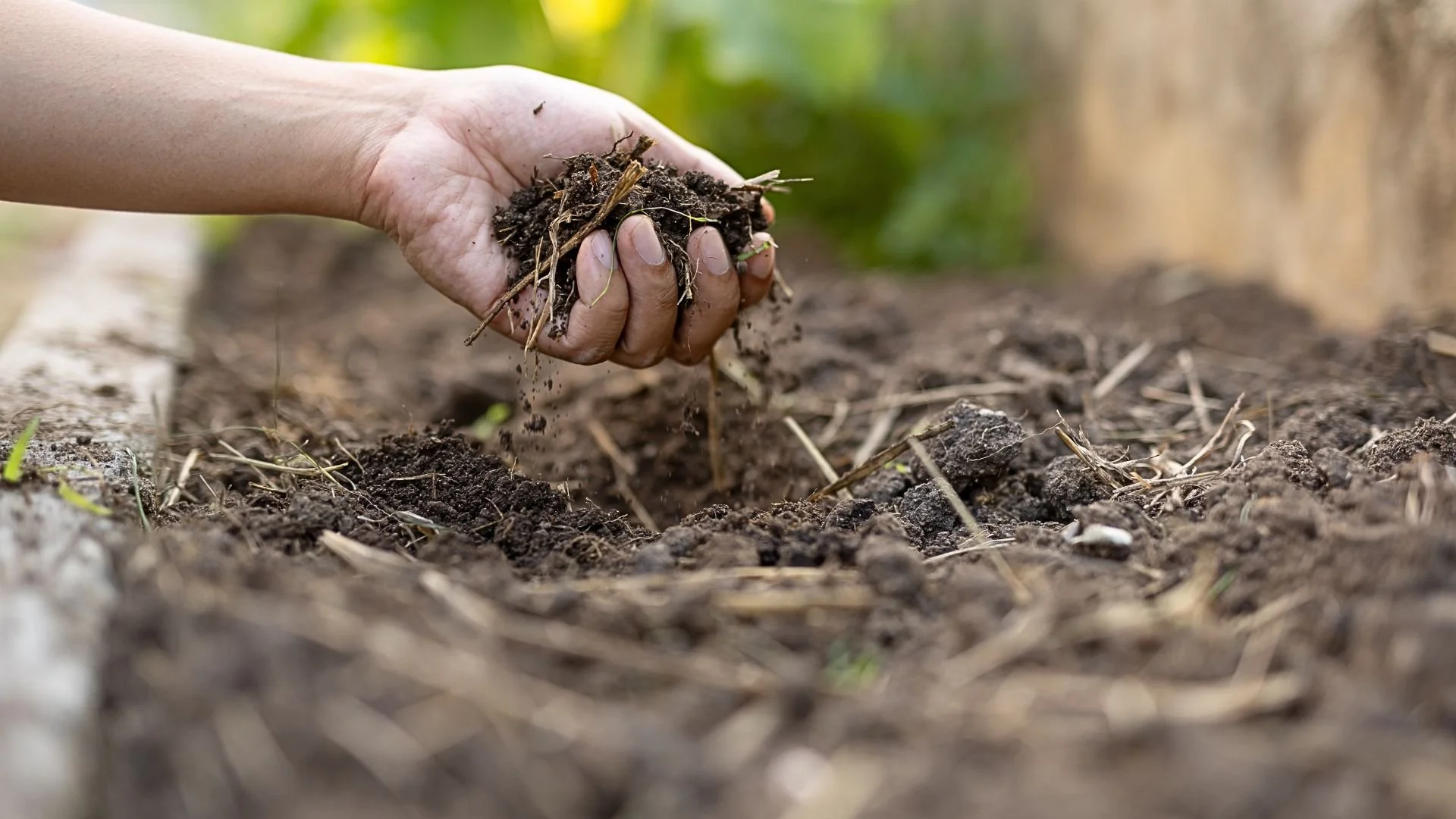 A person is planting a seed in rich, dark soil outdoors, with green foliage in the background.