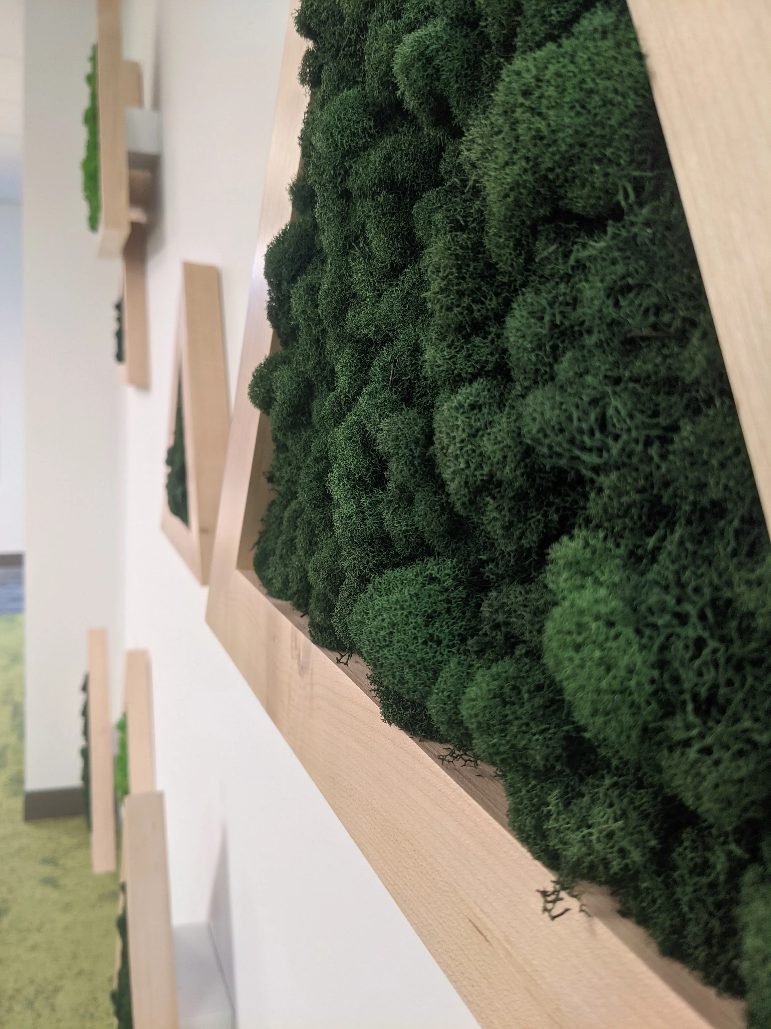 Près de plusieurs étagères en bois, des morceaux de mousse végétale verte sont exposés, probablement pour une décoration ou une création artistique.