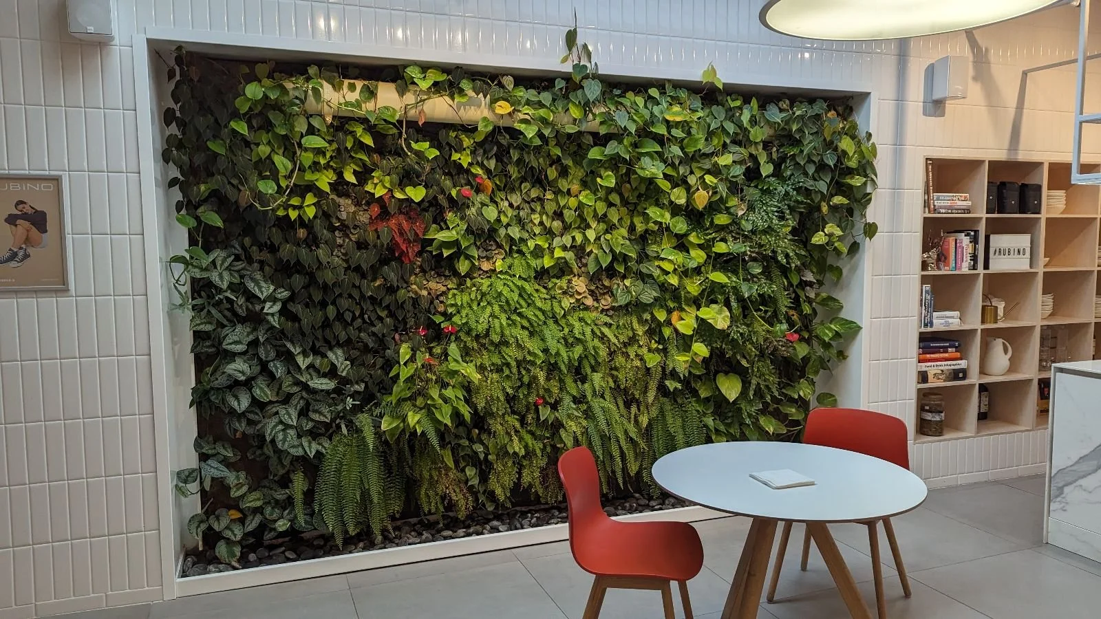 Mur végétal avec plantes vertes et rouges dans un intérieur moderne, avec une table blanche ronde et deux chaises rouges.