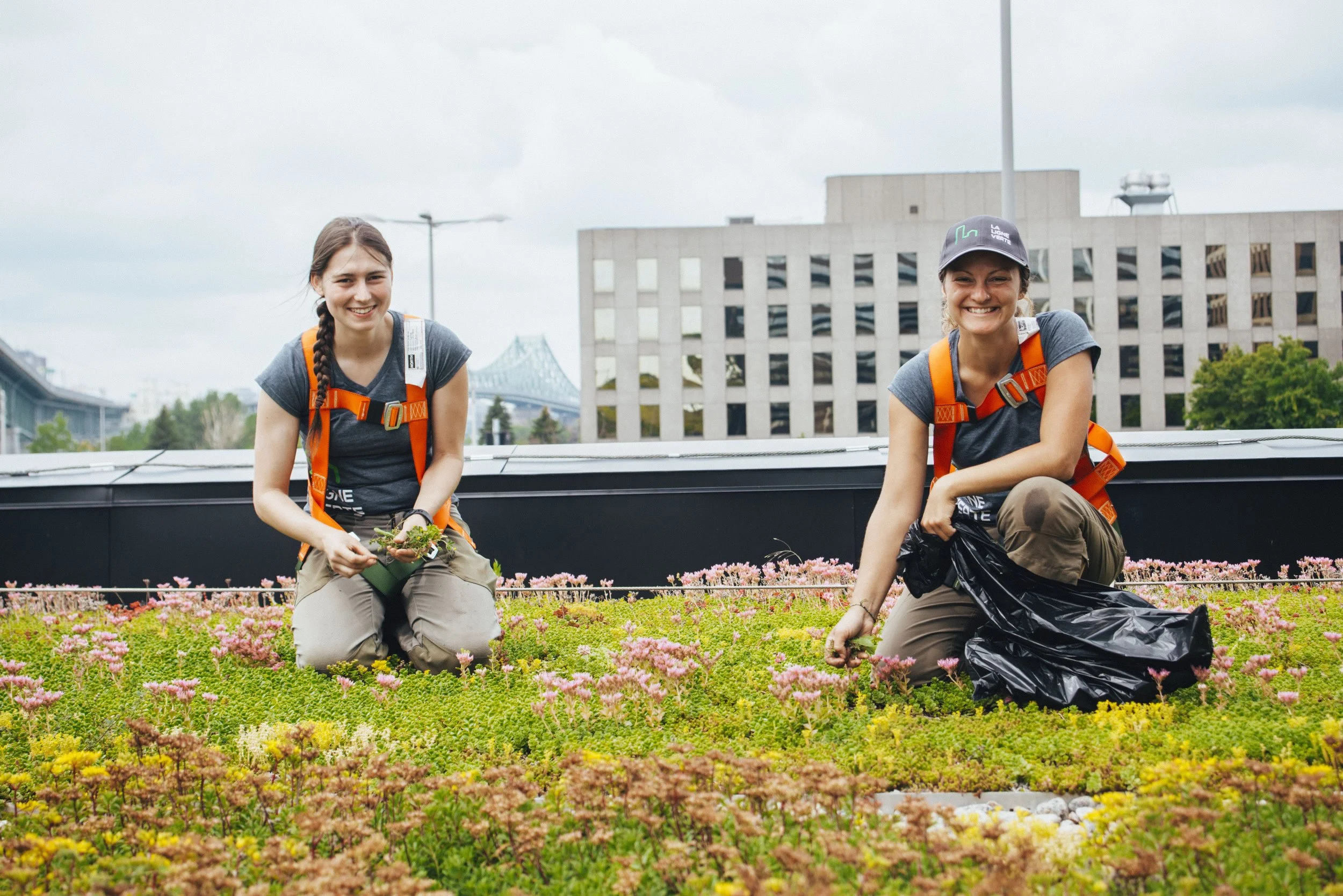 Deux jeunes femmes en vêtements de travail et gilets orange récoltent des fleurs dans un espace vert en milieu urbain, avec des bâtiments modernes en arrière-plan.