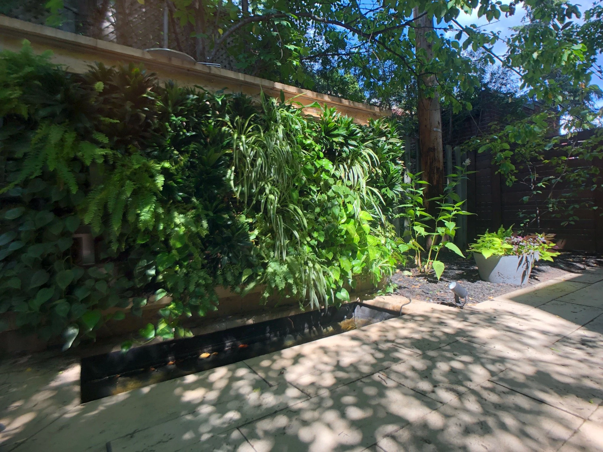 Jardin avec des plantes vertes, un mur en bois, un pot blanc avec des fleurs, et un sol pavé avec des ombres d'arbres.
