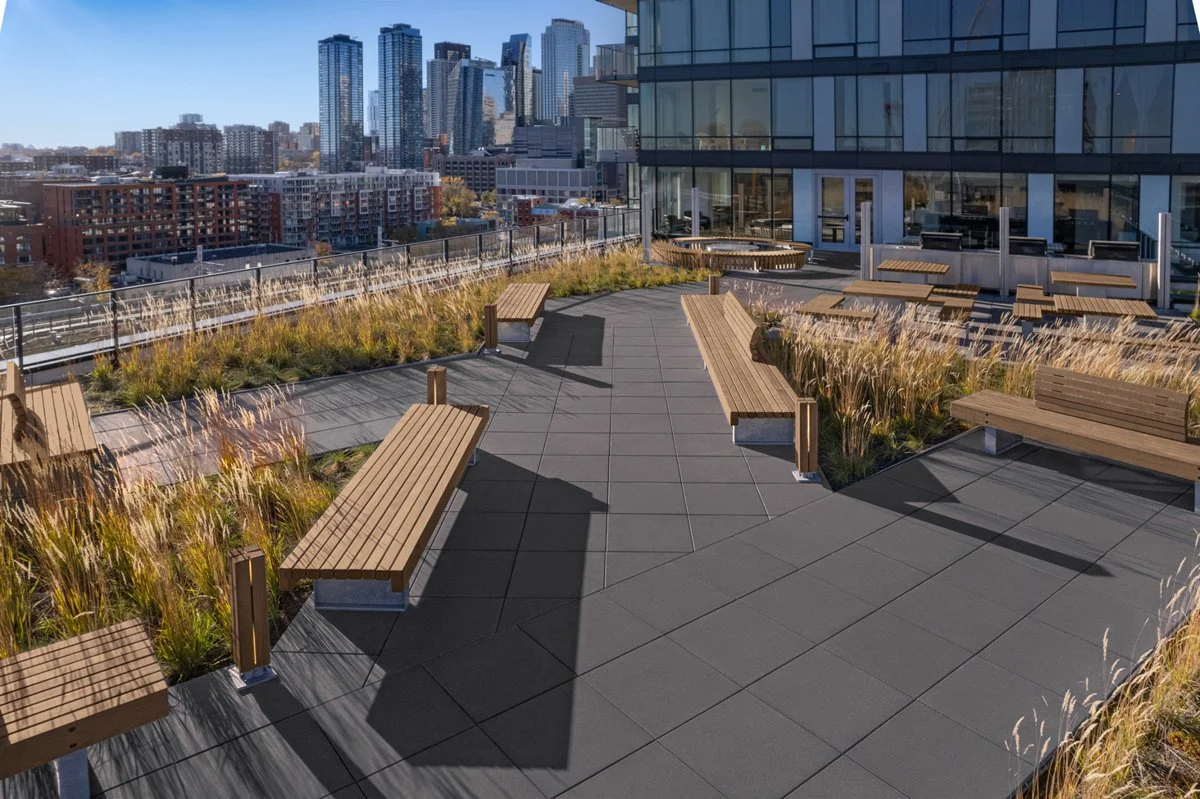 Vue d'une terrasse urbaine avec des bancs en bois et des plantes ornementales, sur fond d'immeubles modernes et de gratte-ciel.