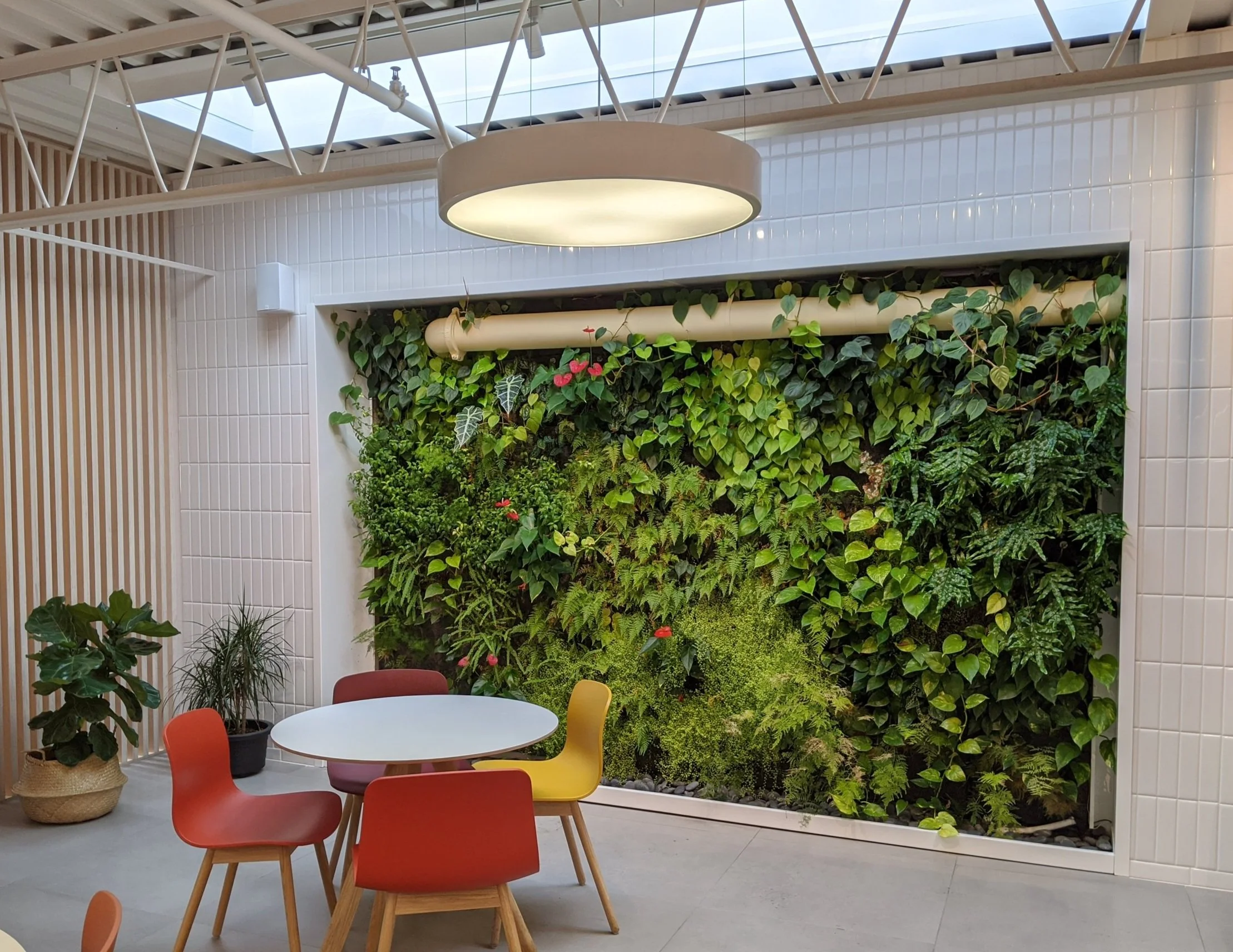 Mur végétal avec diverses plantes d'intérieur dans une salle moderne, près d'une table ronde avec des chaises colorées.