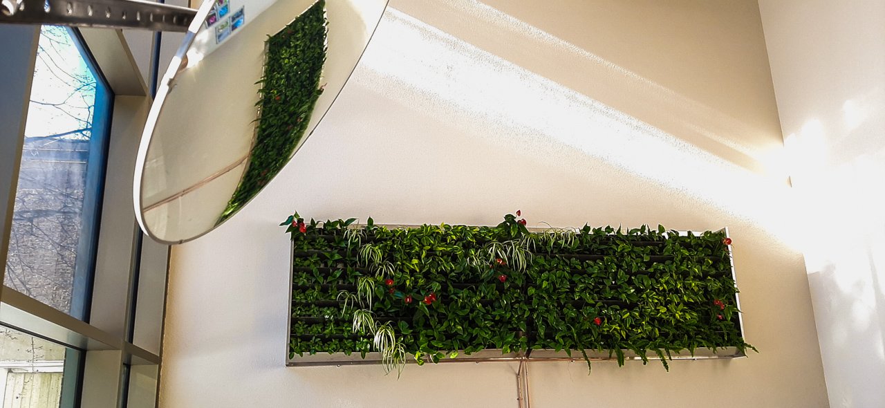 Un mur végétal avec diverses plantes vertes et quelques fleurs rouges dans une pièce lumineuse.