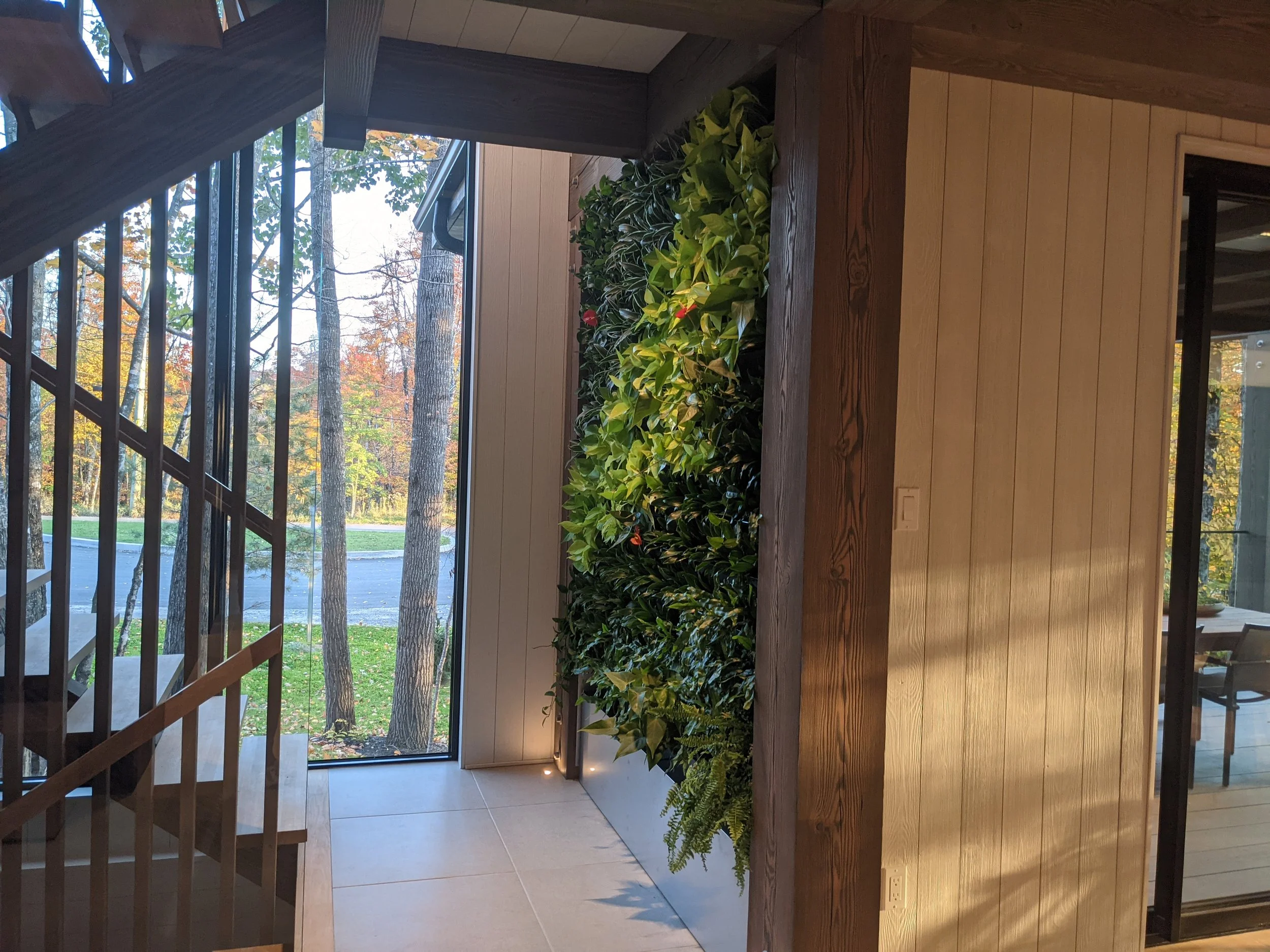 Intérieur d'une maison avec un mur végétal et une grande fenêtre donnant sur un extérieur avec des arbres et une route.