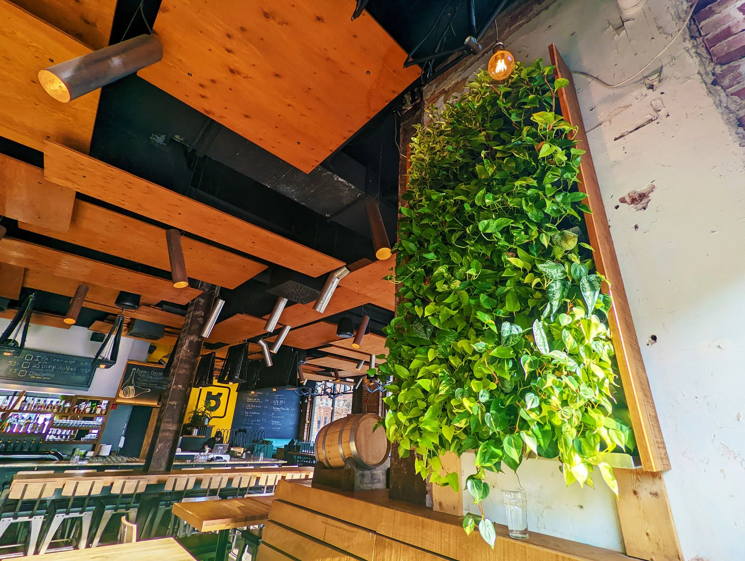 Intérieur d'un restaurant ou café avec des tables en bois, un mur en pierre, un grand panneau noir avec des écritures, une étagère avec des bouteilles et un bar, un mur orné de plantes vertes dans un cadre en bois.