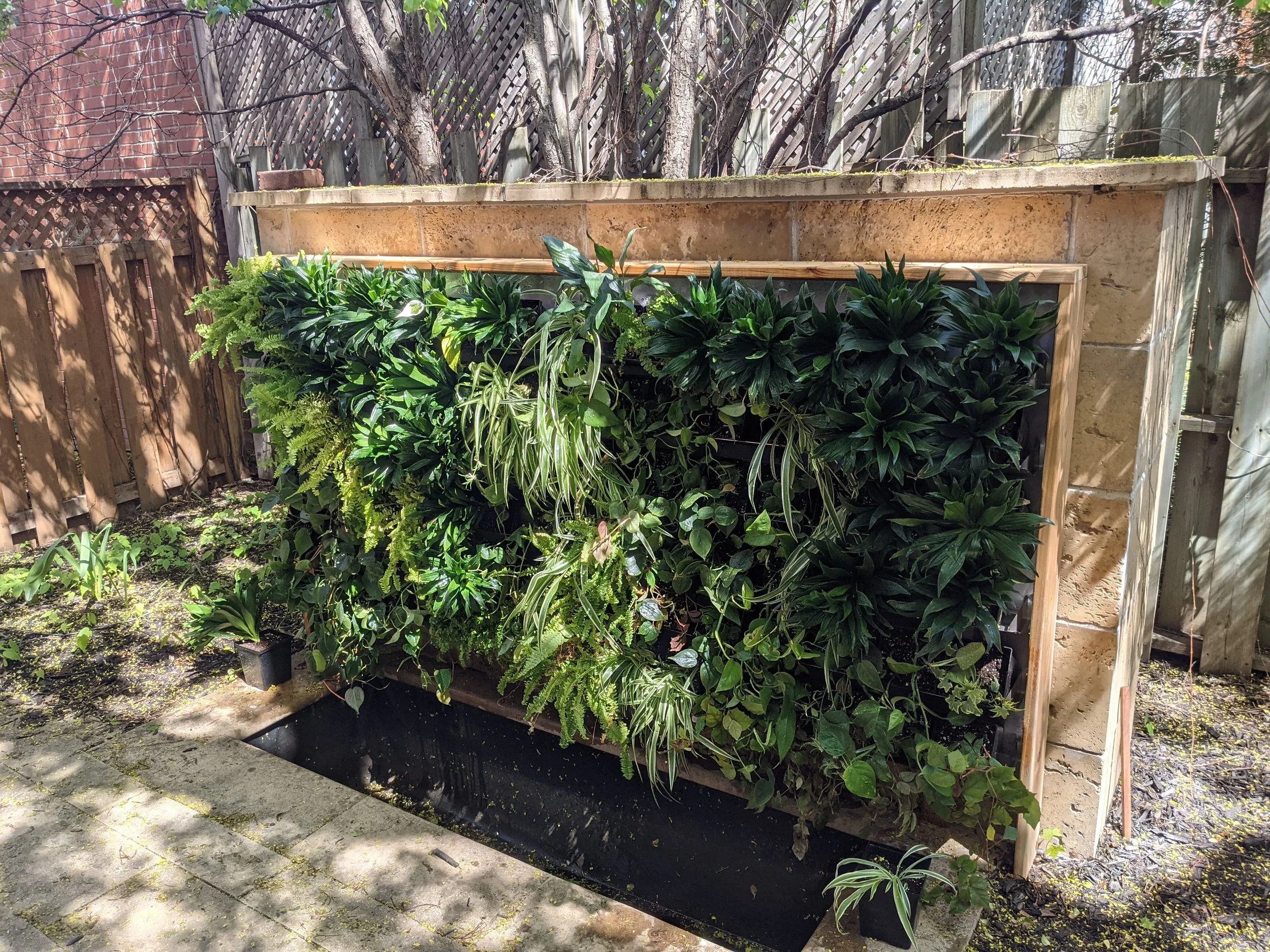 Mur végétal avec différentes plantes vertes dans un jardin en plein air