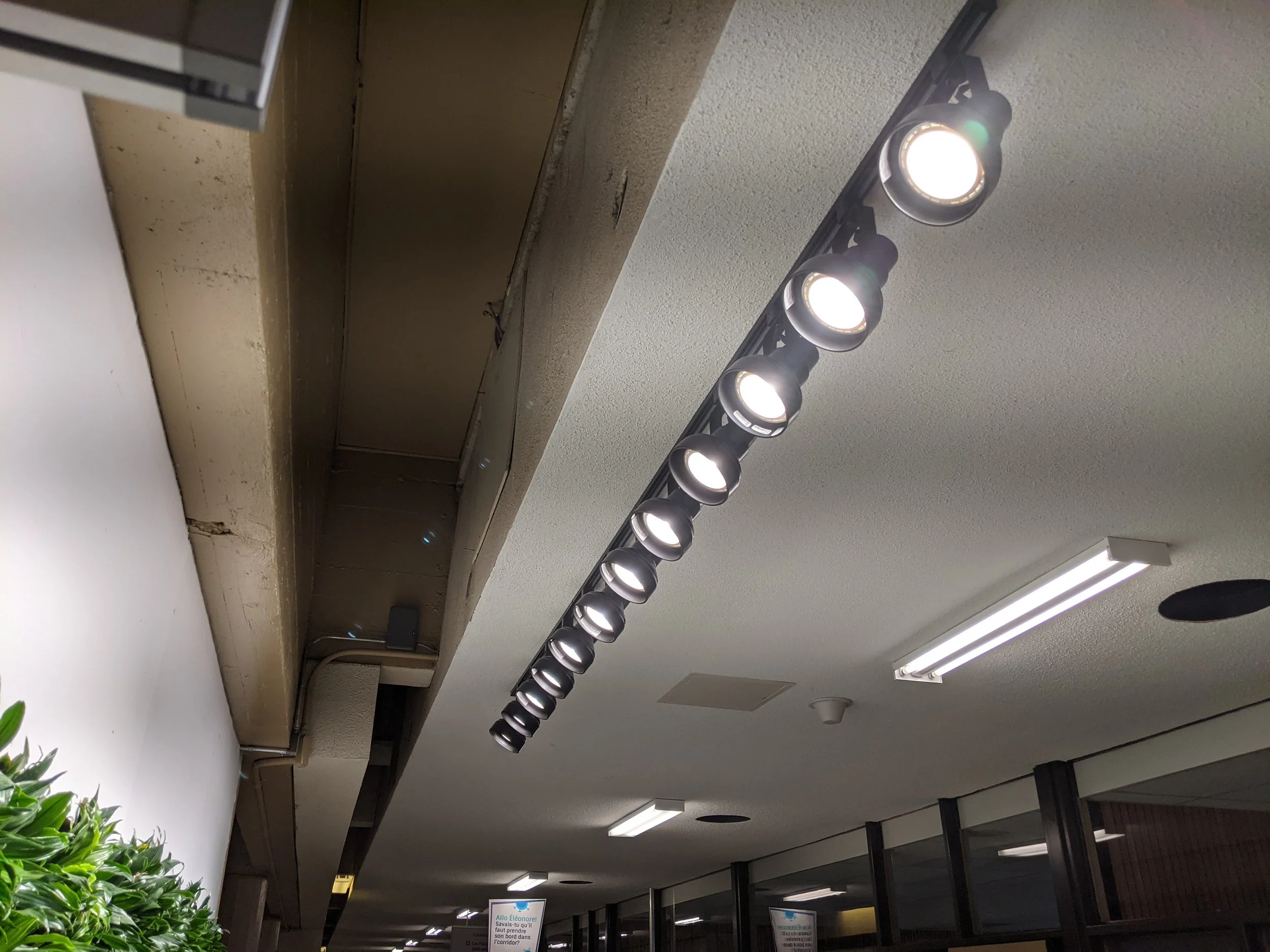 Plafonnier à huit lampes dans un intérieur, plafond de couleur claire, fenêtre avec des cadres noirs, et un mur blanc, partie inférieure d'une plante verte à gauche.