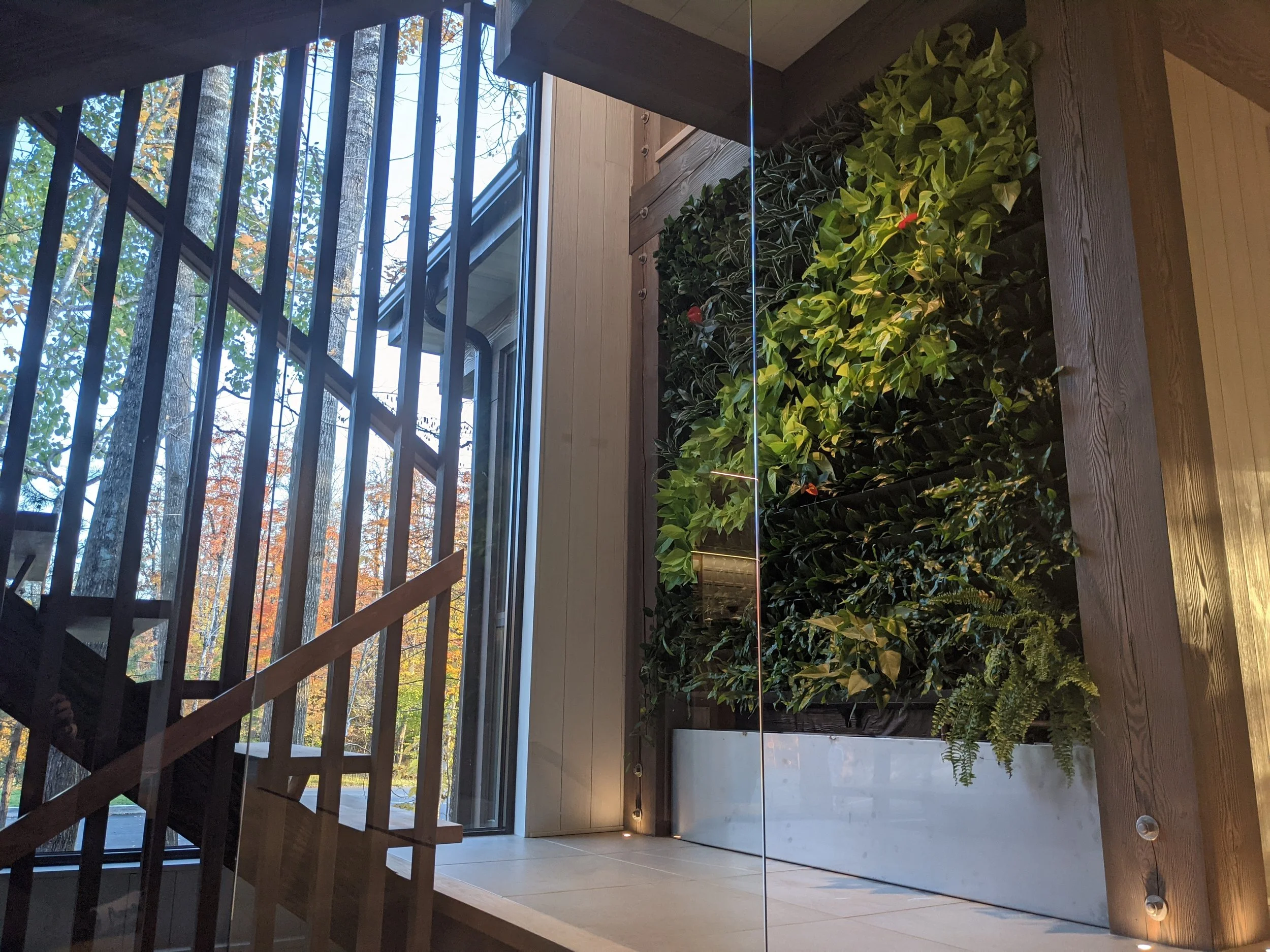 Intérieur d'une maison avec un mur végétal, une grande fenêtre laissant entrer la lumière naturelle, et une structure en bois visible en arrière-plan.