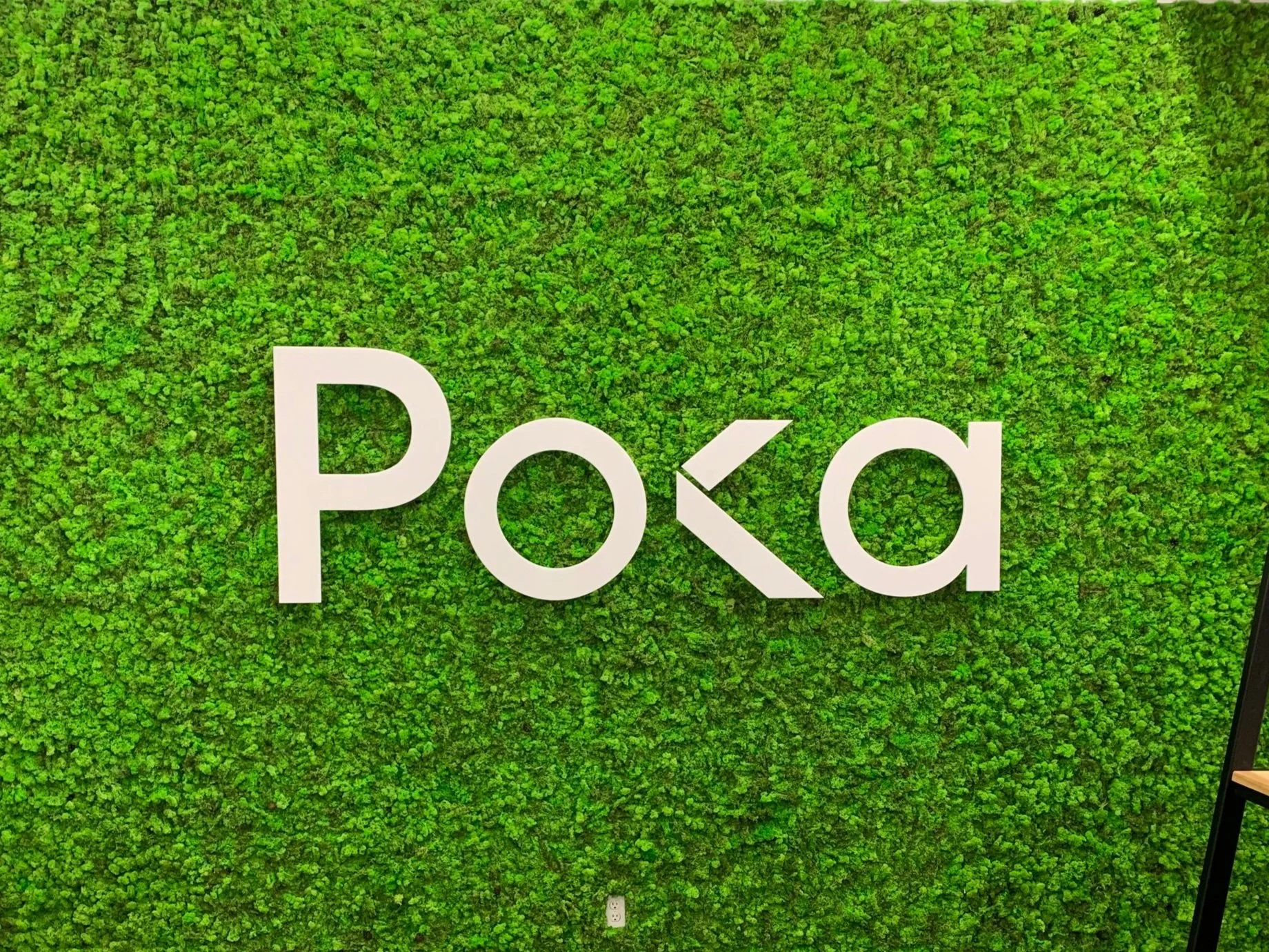 Logo Poka sur un mur végétal vert.