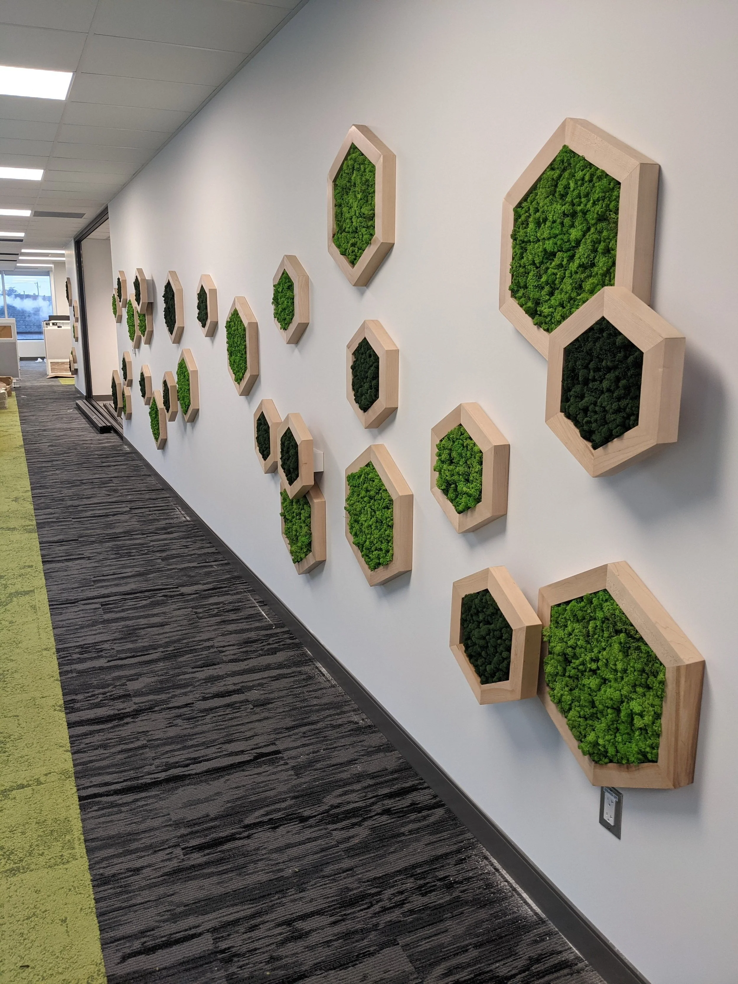 Murs décorés avec des cadres en bois contenant de la mousse végétale verte dans un bureau.