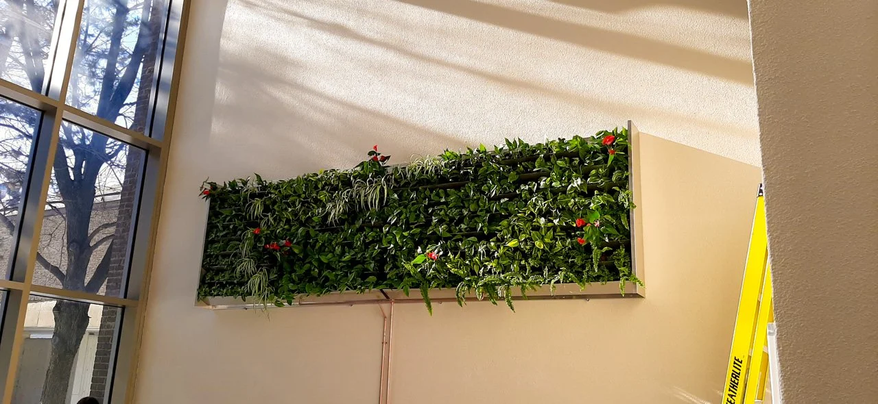 Un mur végétal dans une pièce avec de la lumière naturelle venant d'une grande fenêtre.