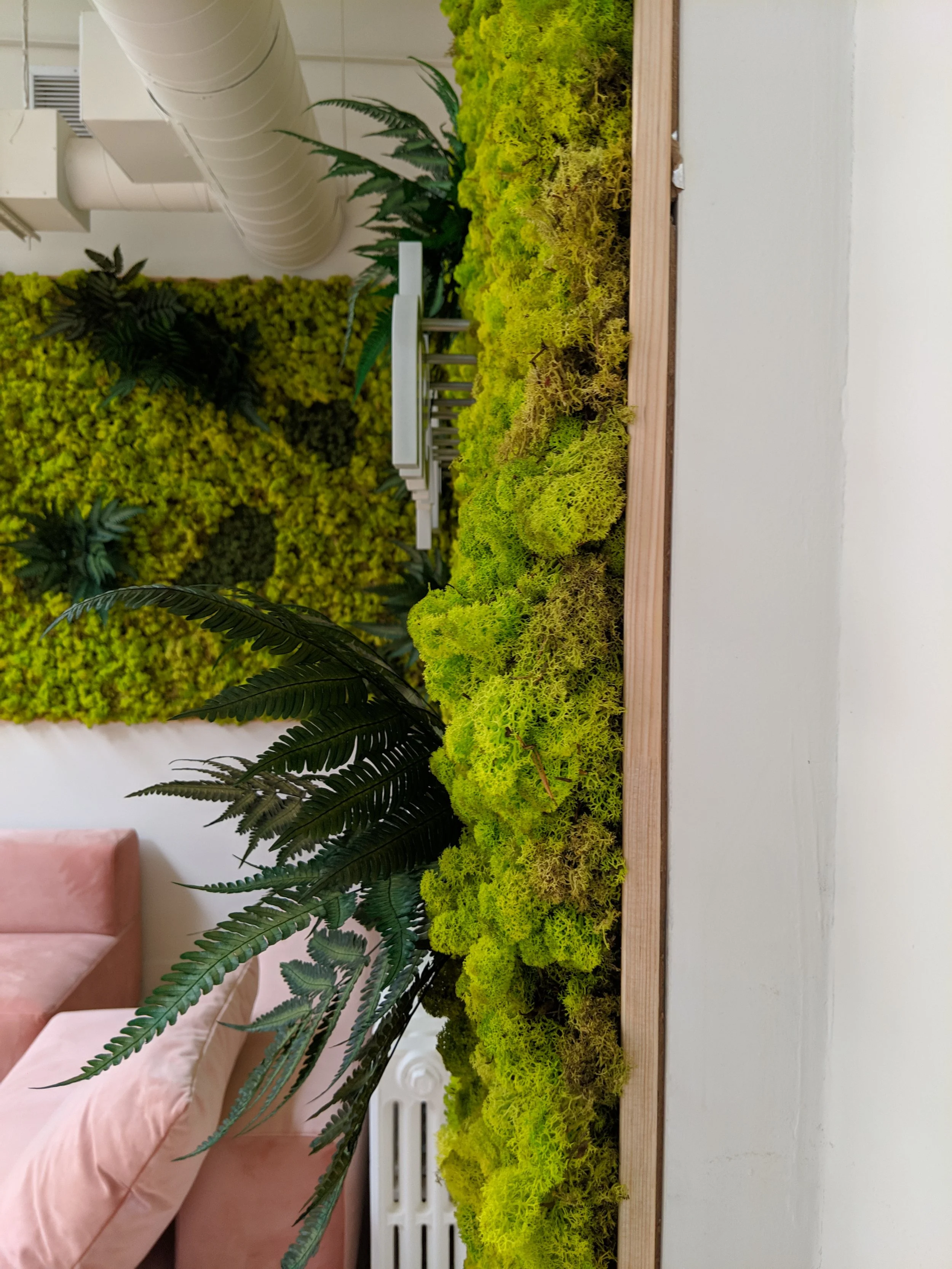 Plantes vertes et mousse sur une table en bois dans une salle moderne.