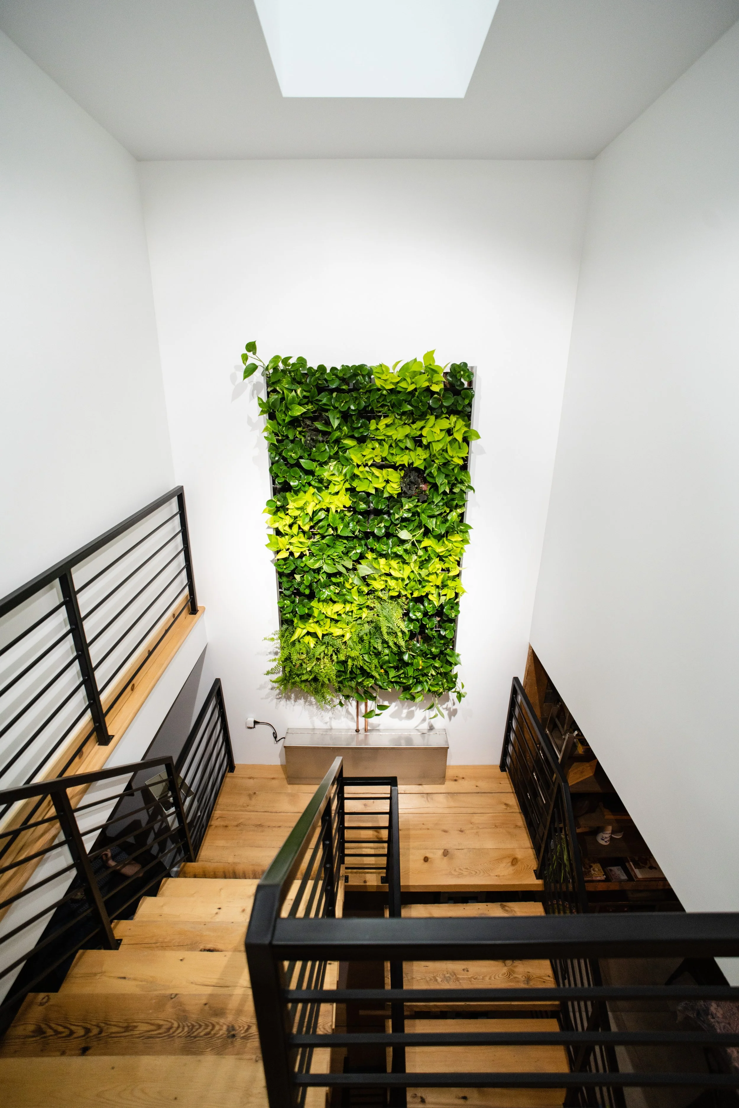 Escalier en bois avec garde-corps en métal noir, mur blanc avec une fresque végétale verticale