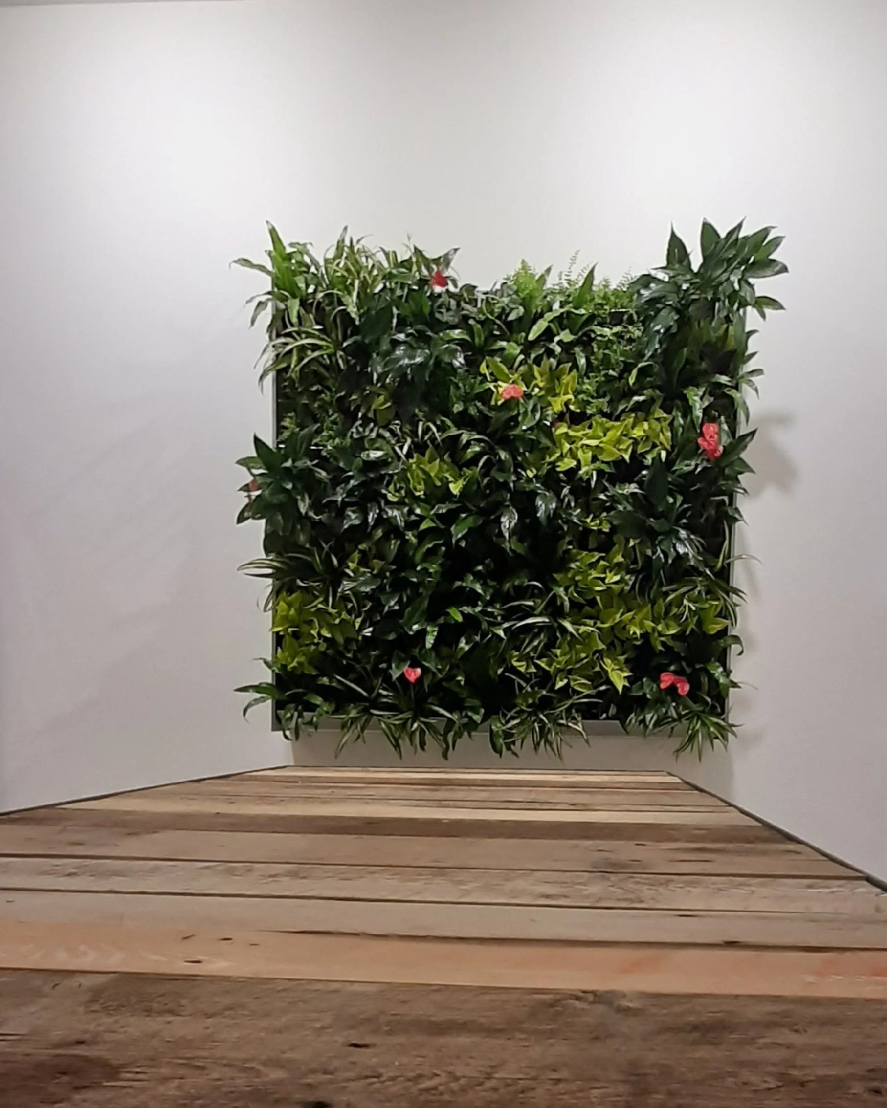 Mural végétal avec des feuilles vertes et quelques fleurs roses, situé sur un fond blanc, placé au-dessus d'une surface en bois.