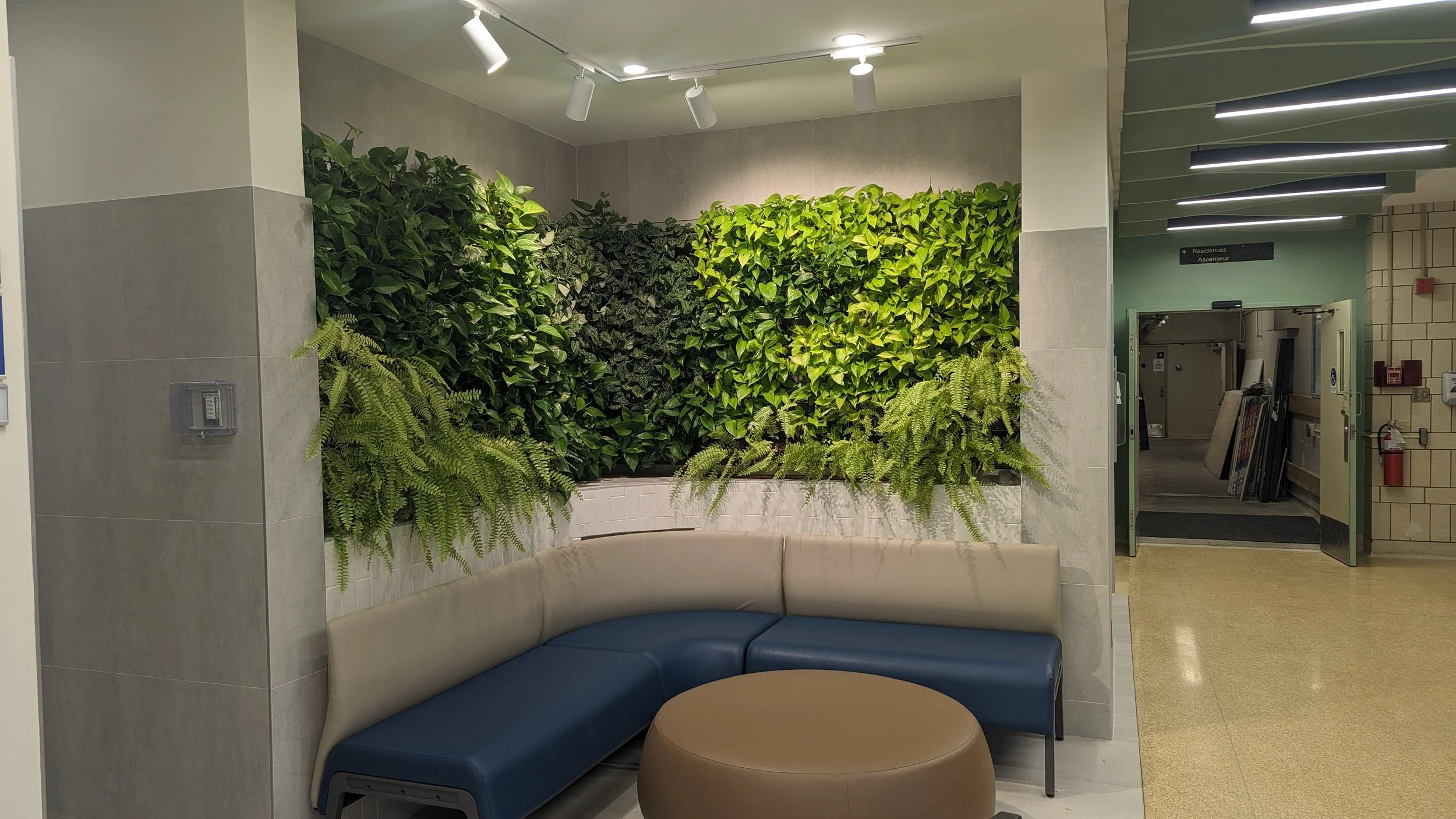 Coin de salon avec un mur végétal composé de plusieurs plantes vertes, un canapé en demi-cercle beige et bleu, un pouf rond beige, éclairage moderne au plafond, adaptée pour un espace d'accueil ou de repos.