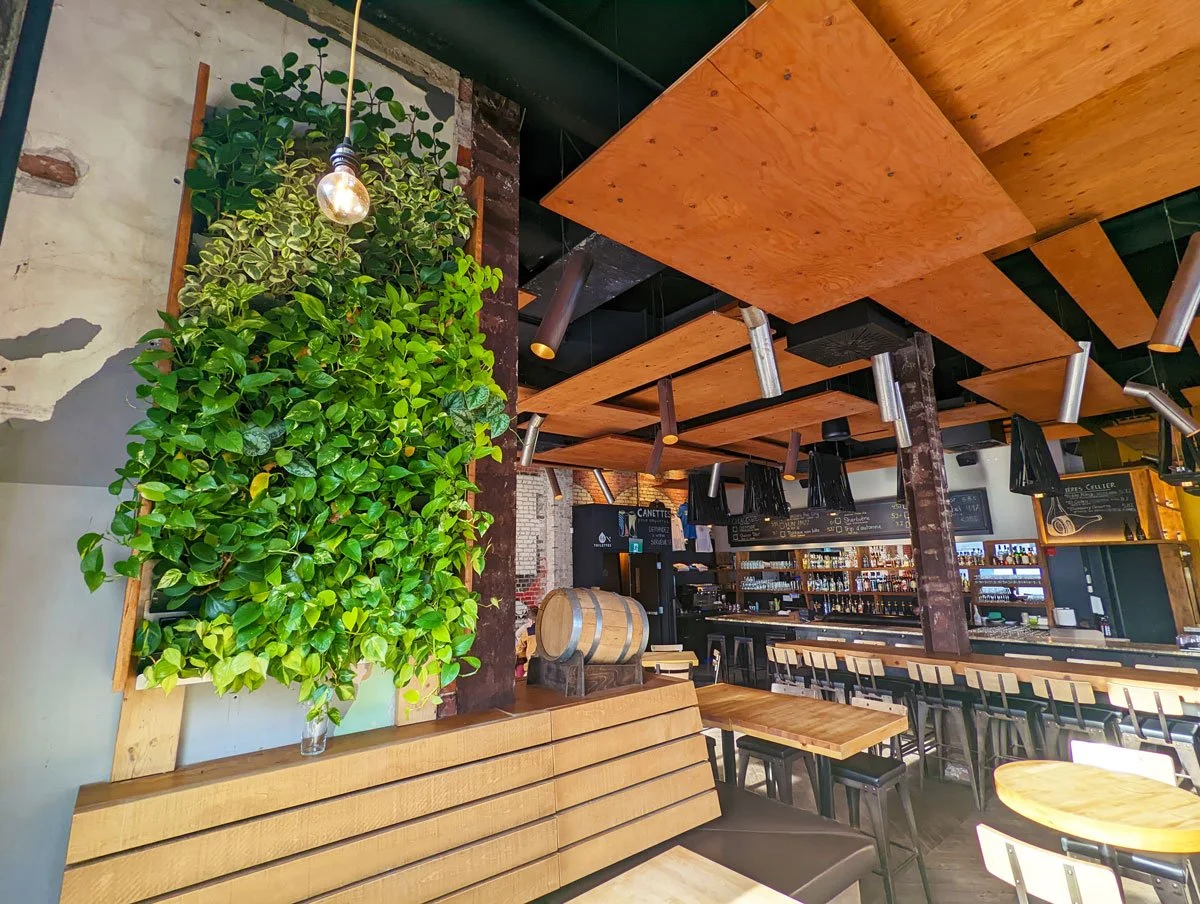 Intérieur d'un restaurant ou bar avec décoration végétale et mobilier en bois, comptoir de bar avec chaises, plafond en tôle, et lumière suspendue.