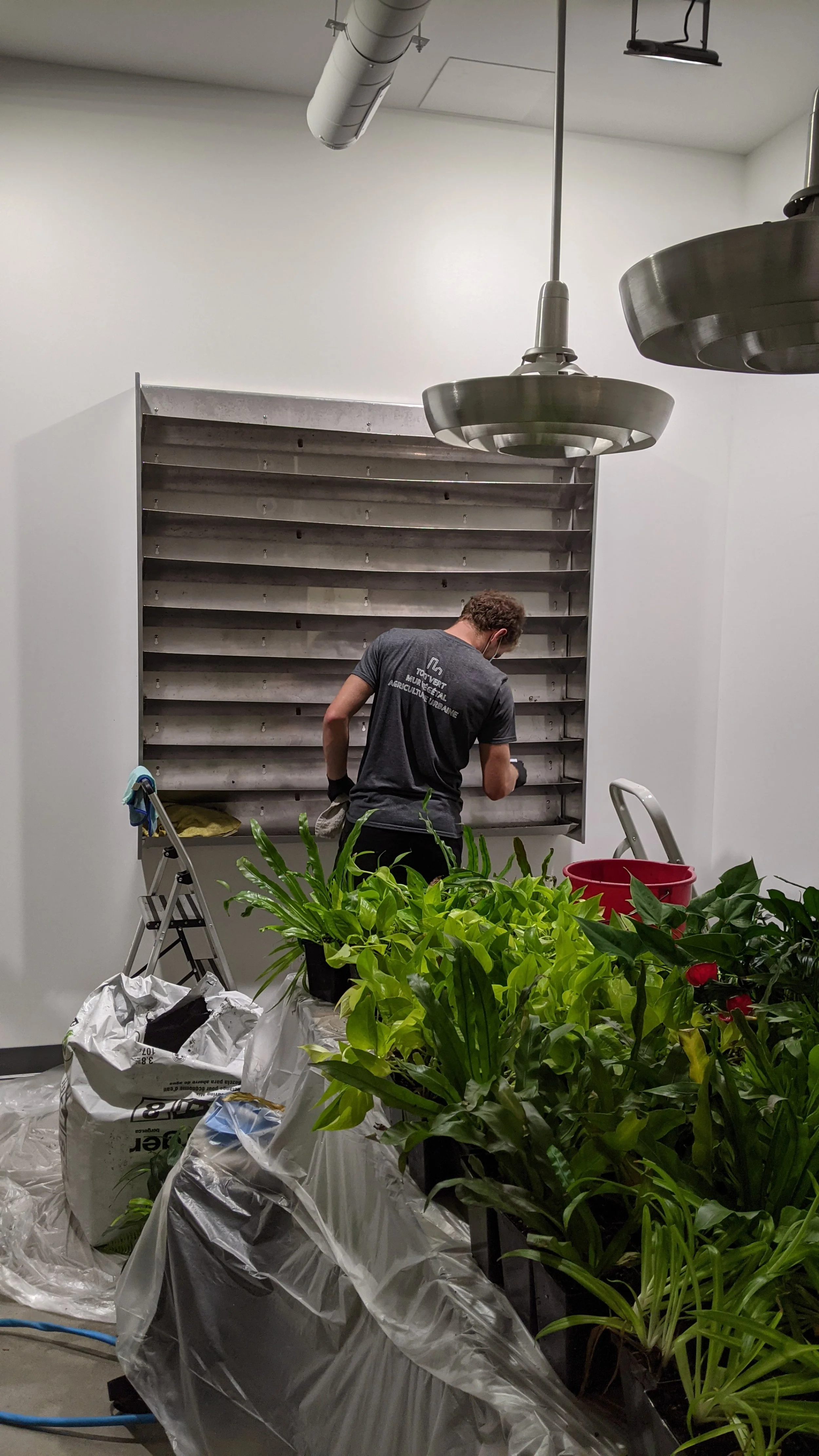 Une personne travaillant dans une serre ou une pièce de culture de plantes, avec plusieurs pots de plantes vertes et un grand système de ventilation au plafond, portant un t-shirt gris et en train de manipuler des plantes ou des outils.