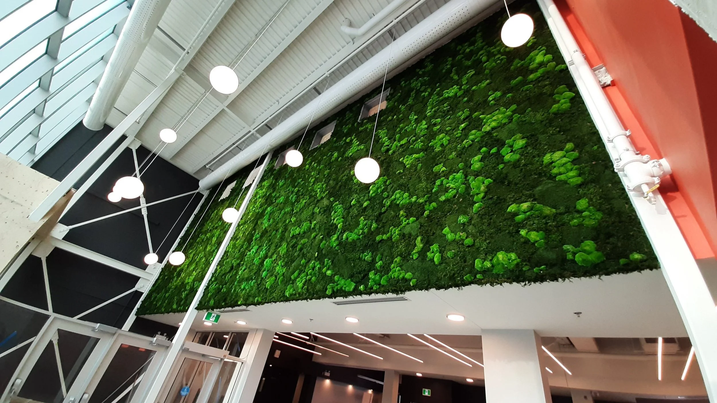 Mural végétal vert dans un intérieur d'immeuble avec plafonds lumineux et lampes suspendues en forme de sphères