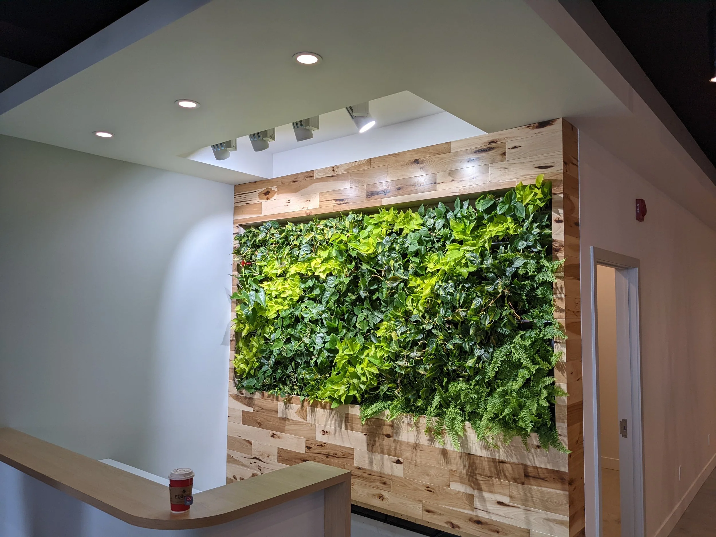 Murs décoratifs en bois avec un mur végétal en intérieur, éclairé par des spots lumineux.