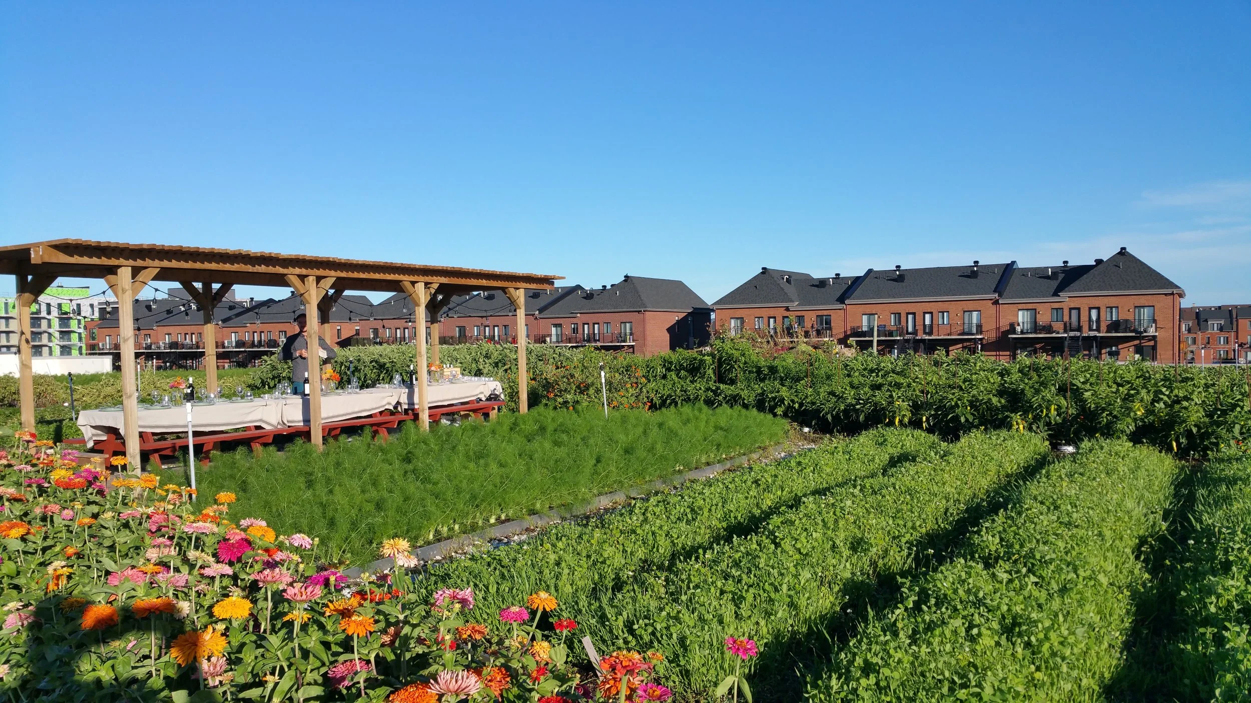 Jardin urbain avec des fleurs colorées, table pour un repas en plein air sous une structure en bois, au fond des bâtiments résidentiels modernes avec jardins en balcon, ciel bleu clair.