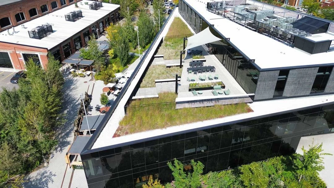 Vue aérienne d'un bâtiment moderne avec un toit végétalisé, terrasse avec mobilier, pergola, et des espaces extérieurs verts.