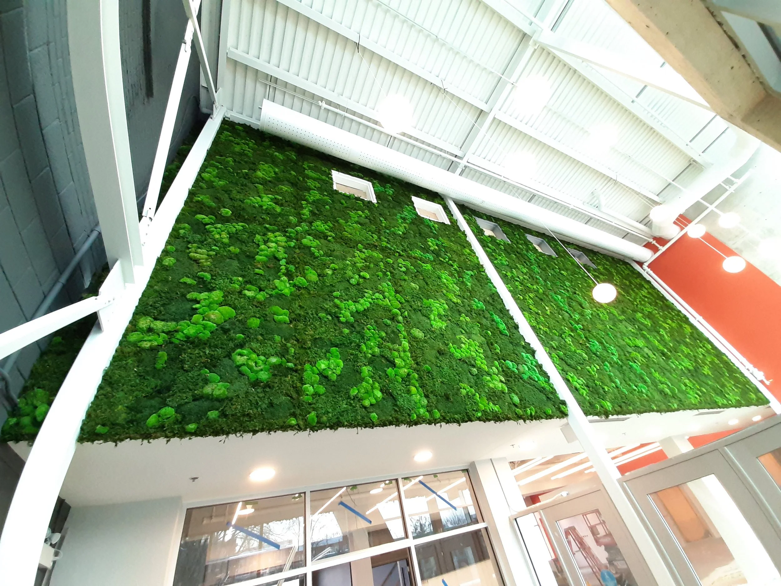 Murs végétaux verts dans un bâtiment moderne avec une grande baie vitrée au sol.