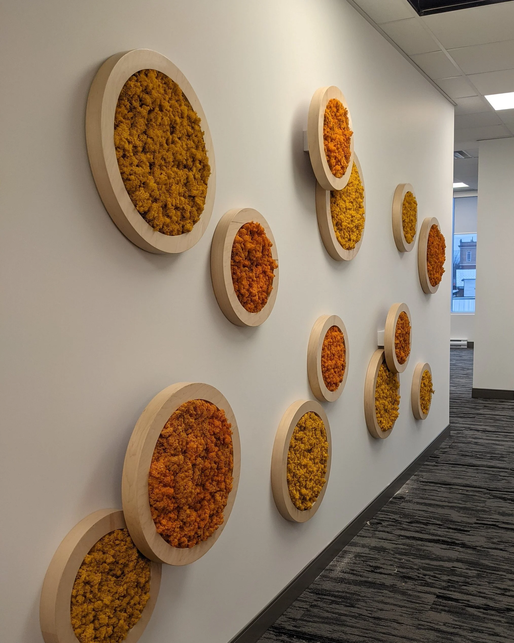 Mur blanc décoré avec plusieurs cadres ronds en bois contenant des œuvres d'art en mousse orange et jaune, disposés en quinconce. Chambre d'office avec plafond en dalles blanches, éclairage fluorescent, et fenêtre donnant sur un bâtiment résidentiel.