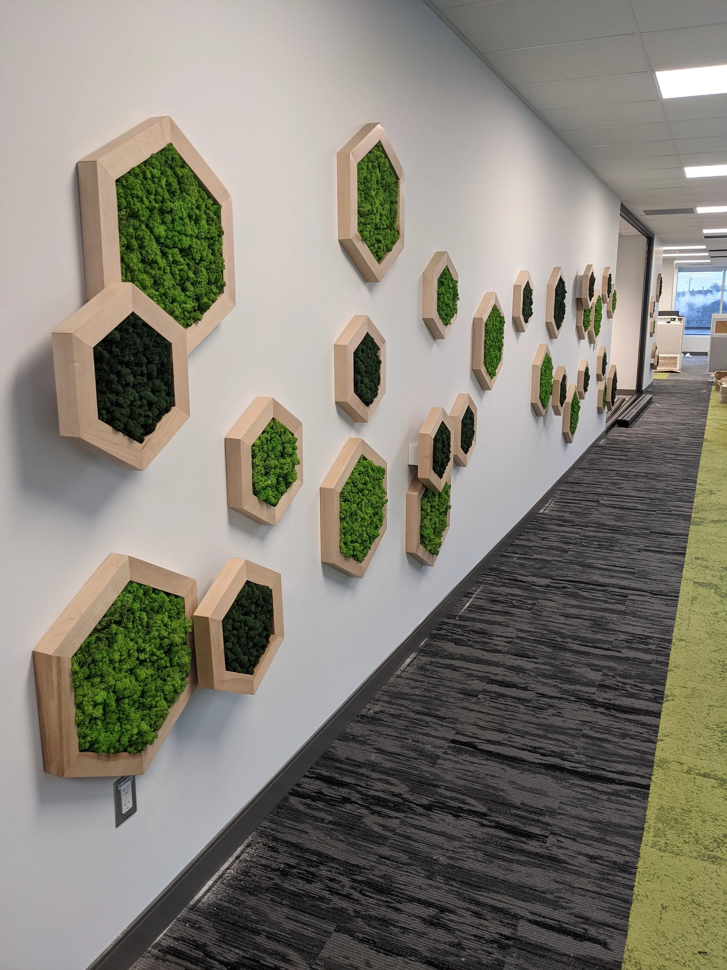 Mur blanc décoré de cadres en bois de différentes tailles contenant de la mousse végétale verte, dans un couloir d'immeuble