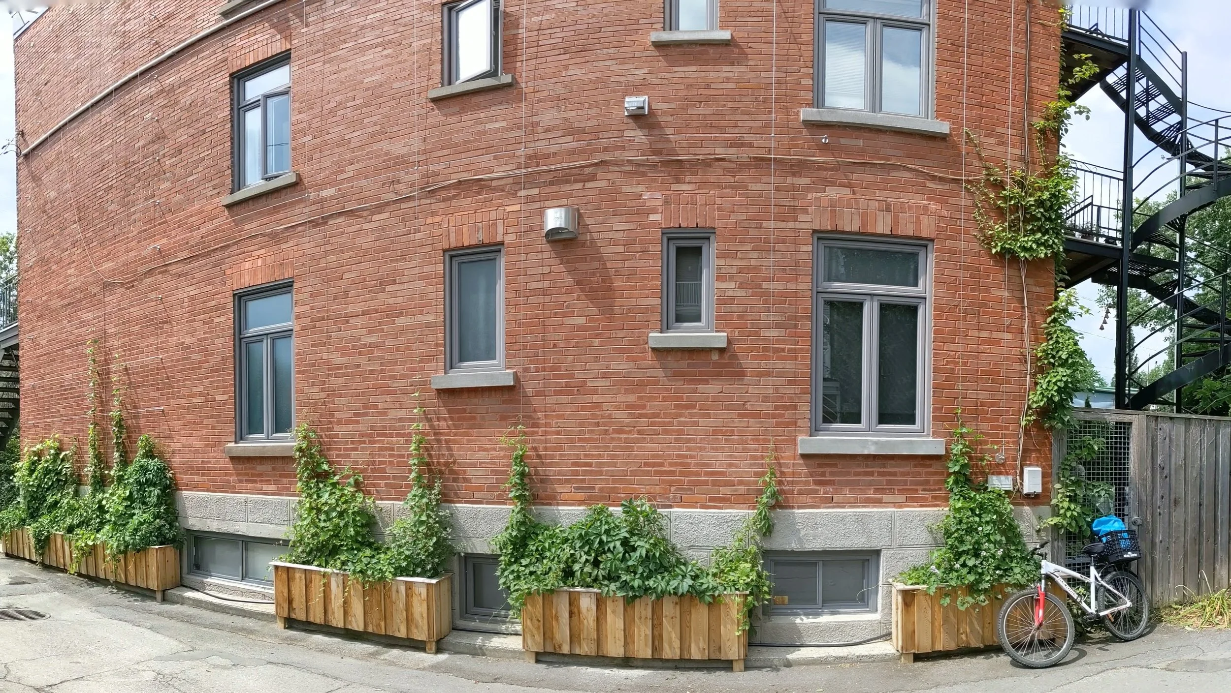 Façade d'un bâtiment en briques rouges avec plusieurs fenêtres grises, parmi lesquelles quelques-unes ont des rebords en béton. En bas, il y a des jardinières en bois avec des plantes grimpantes. À droite, un vélo blanc avec un panier noir est appuyé contre une clôture en bois, et une échelle de secours métallique noire est installée à l'extrémité du bâtiment.