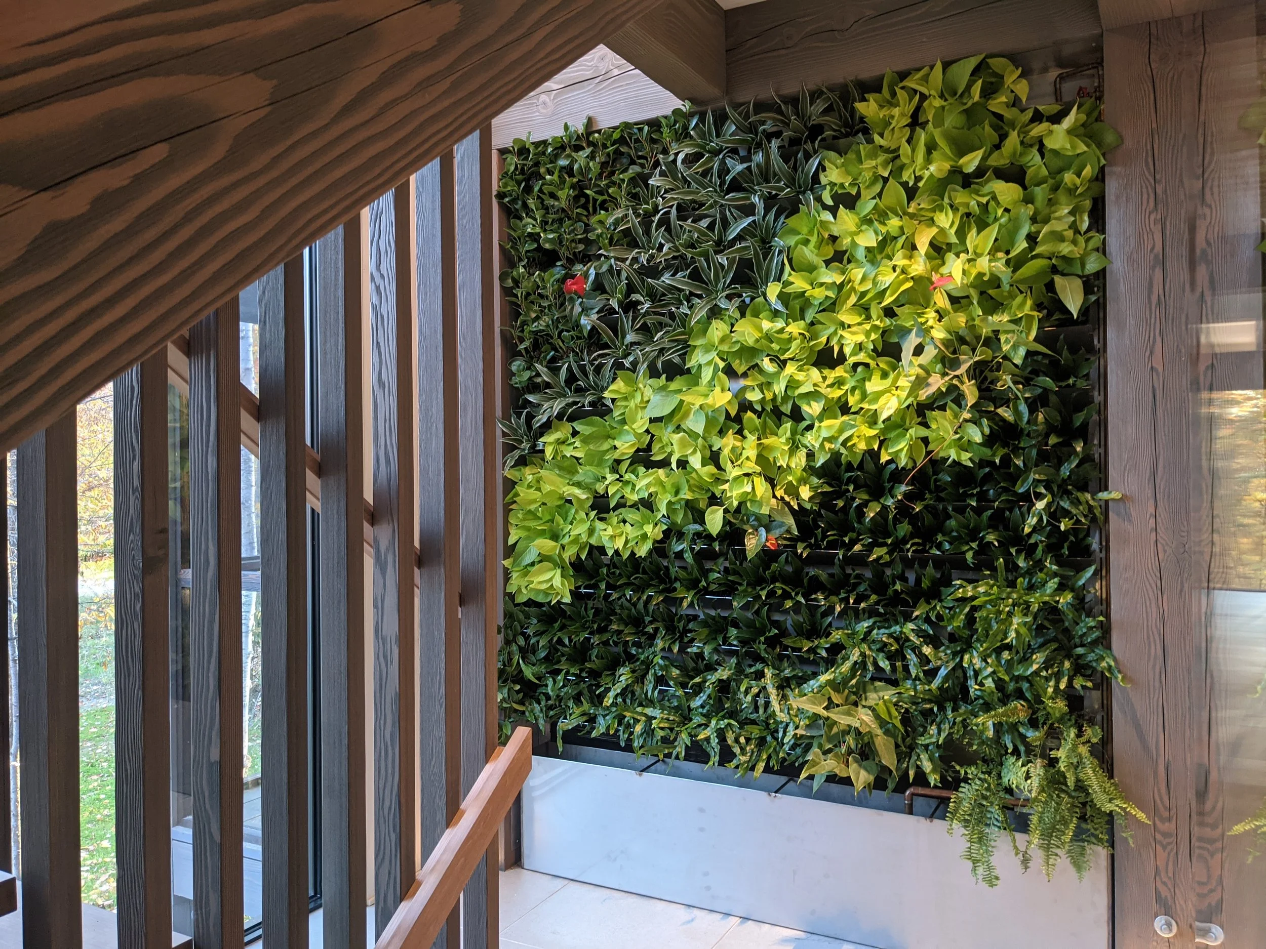 Un mur végétal intérieur avec des plantes vertes et une isolation en bois dans une zone avec un escalier en bois.