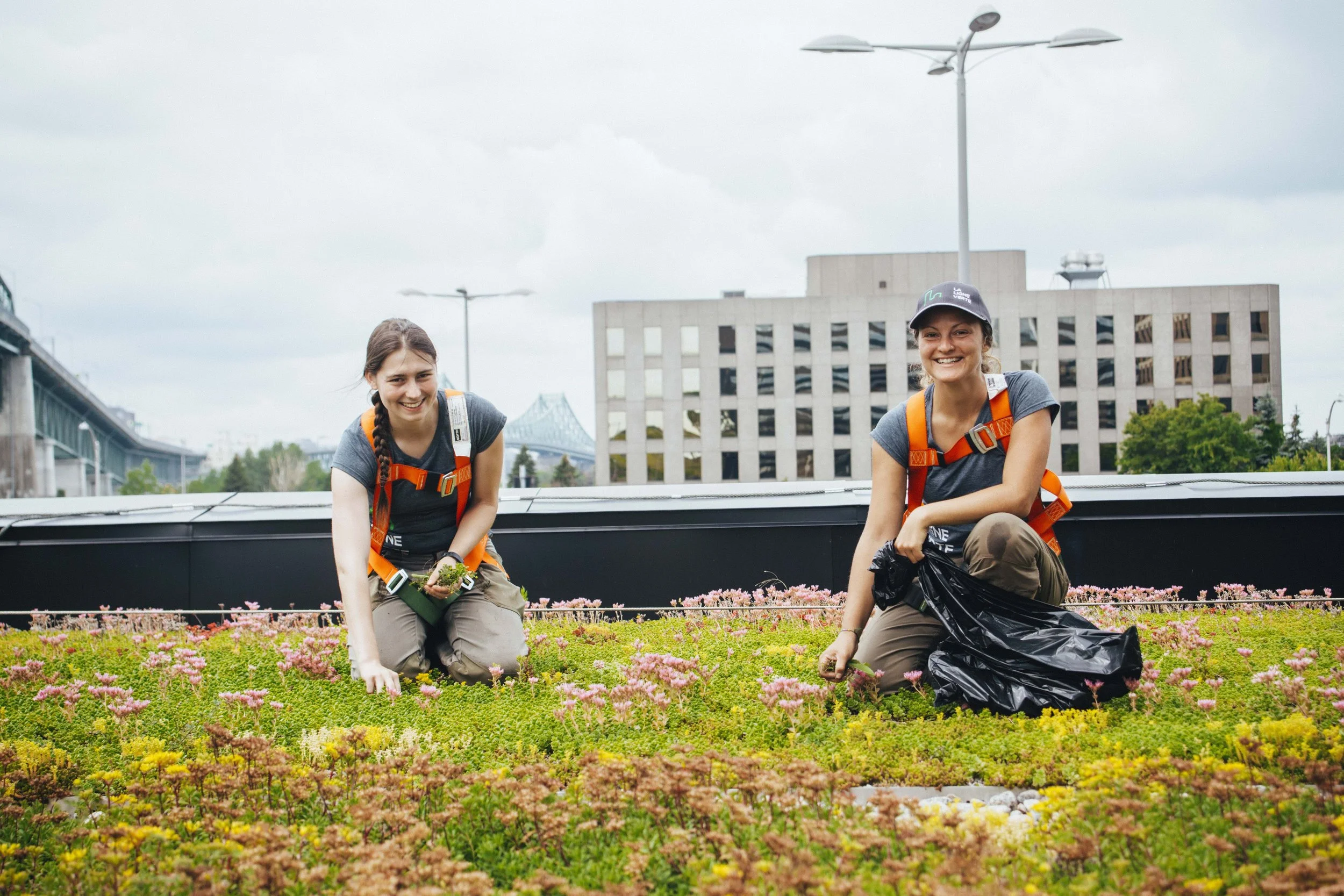 Deux femmes jardinières en uniformes avec des harnais orange, en train de planter des fleurs dans un jardin urbain, sourire et active.