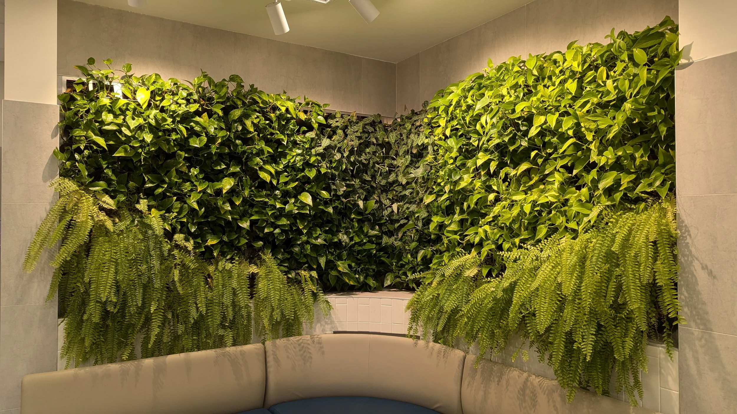 Murs recouverts de feuilles vertes, avec canapés beige et fauteuils bleus en avant, ambiance intérieure lumineuse.